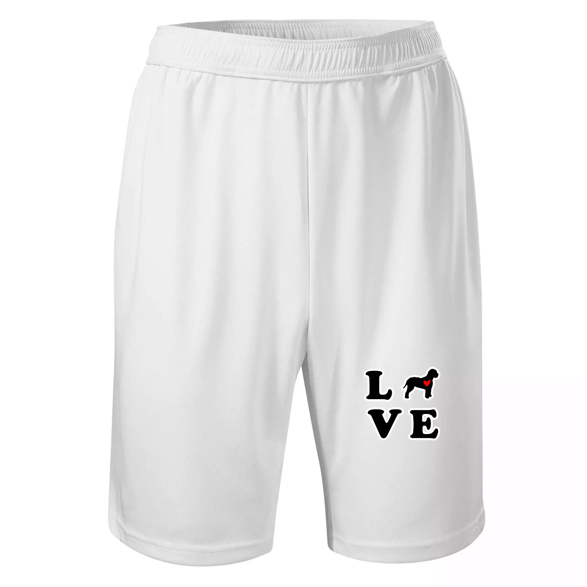 Lagotto romagnolo LOVE