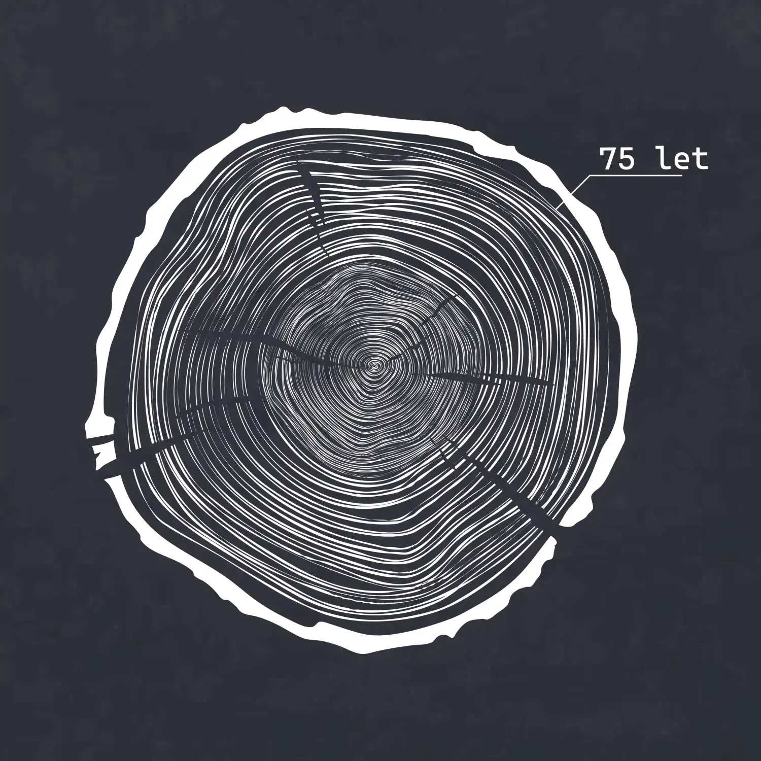 Letokruhy - 75
