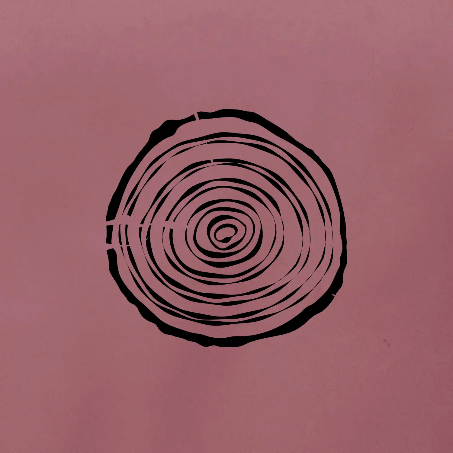 Letokruhy 10 bez věku