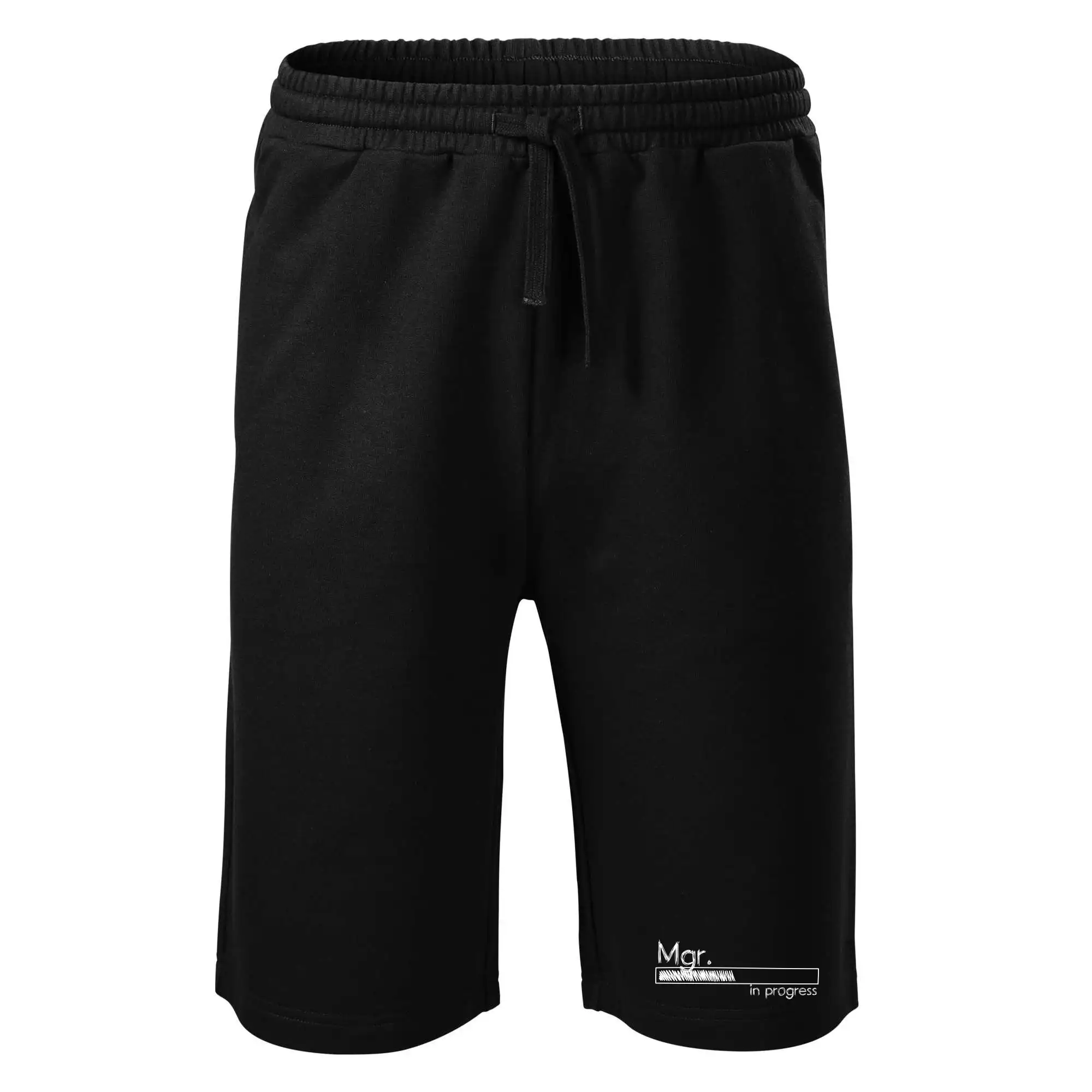 In progress titul Mgr.  magistr / magistra