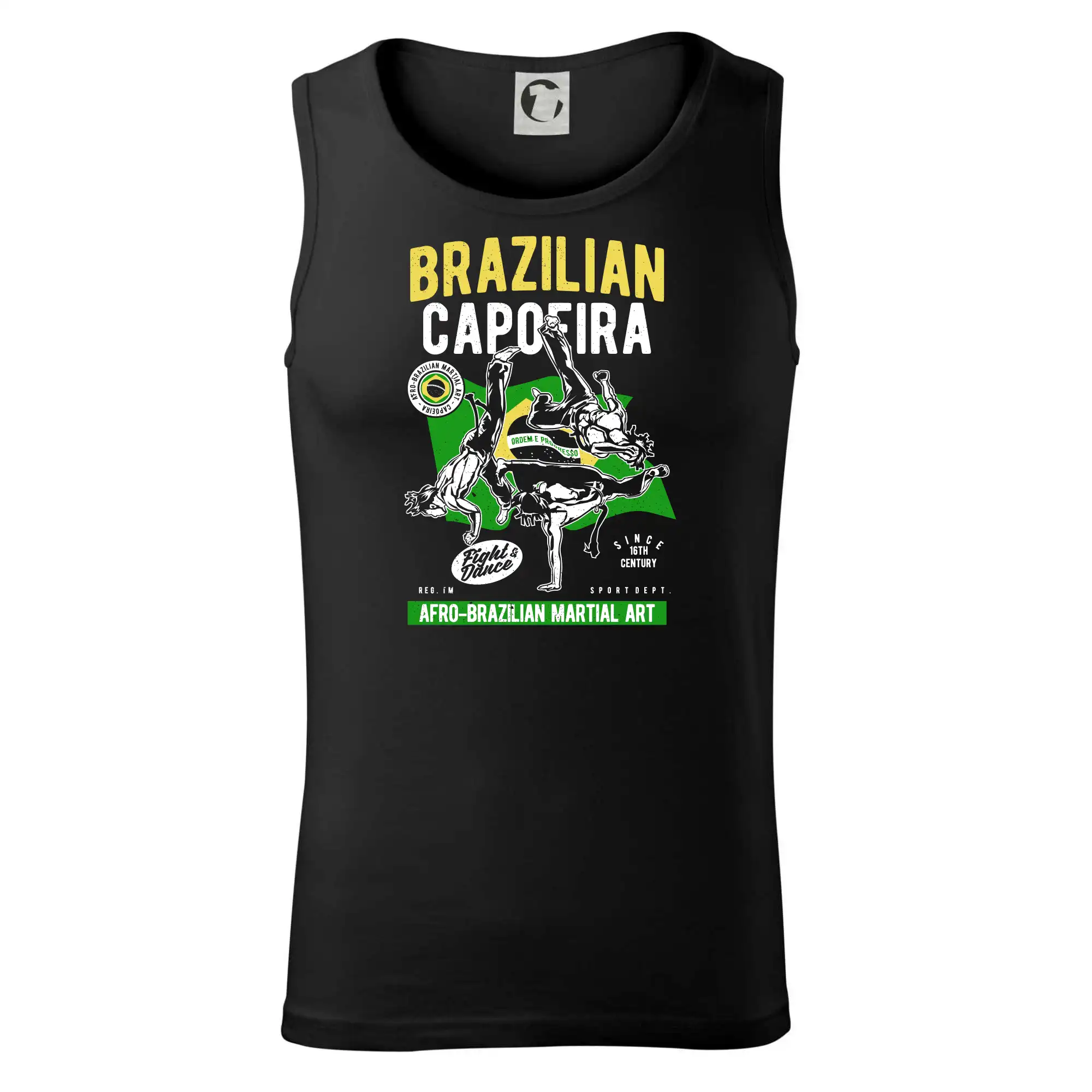 Brazilian Capoeira