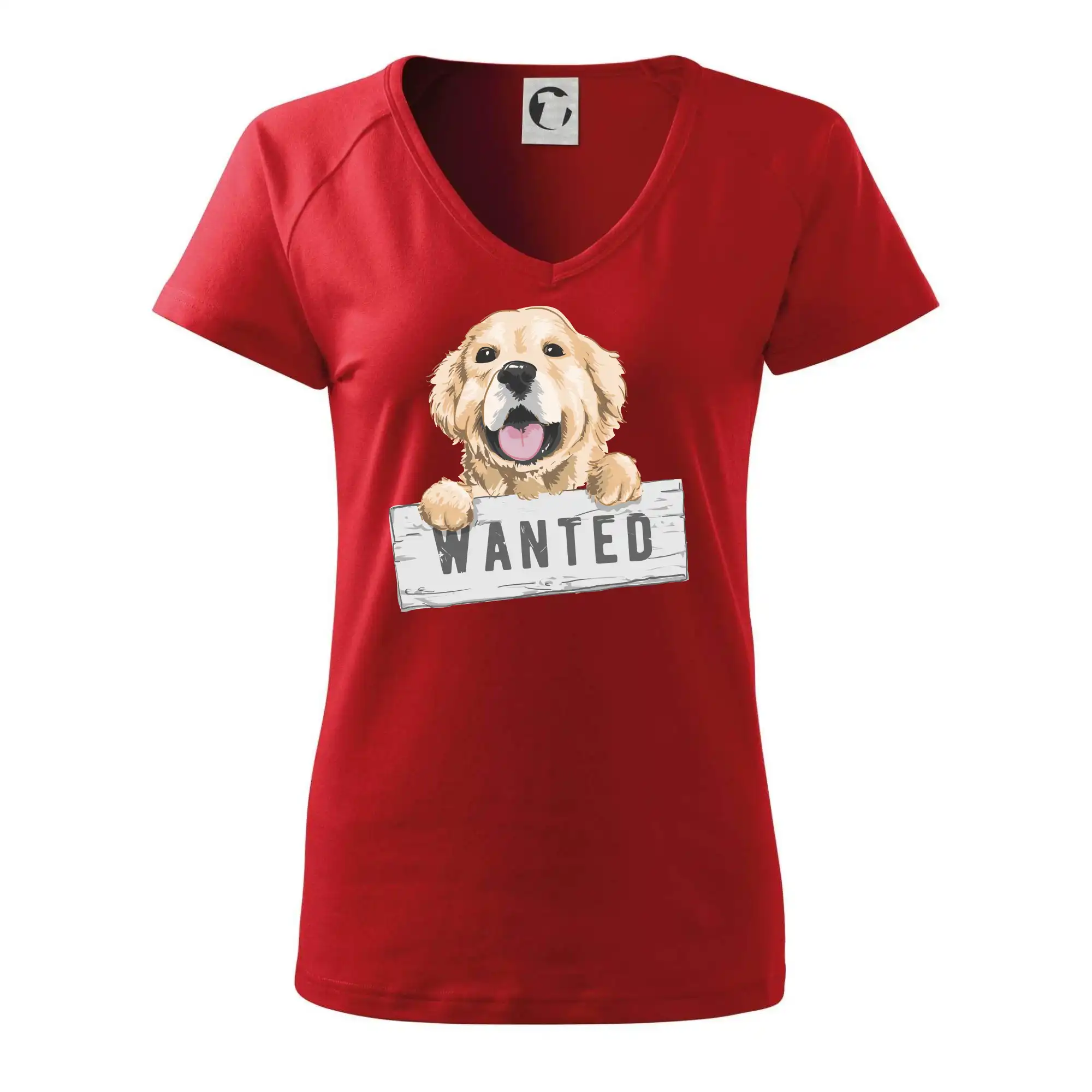 Zlatý retriever - štěně wanted