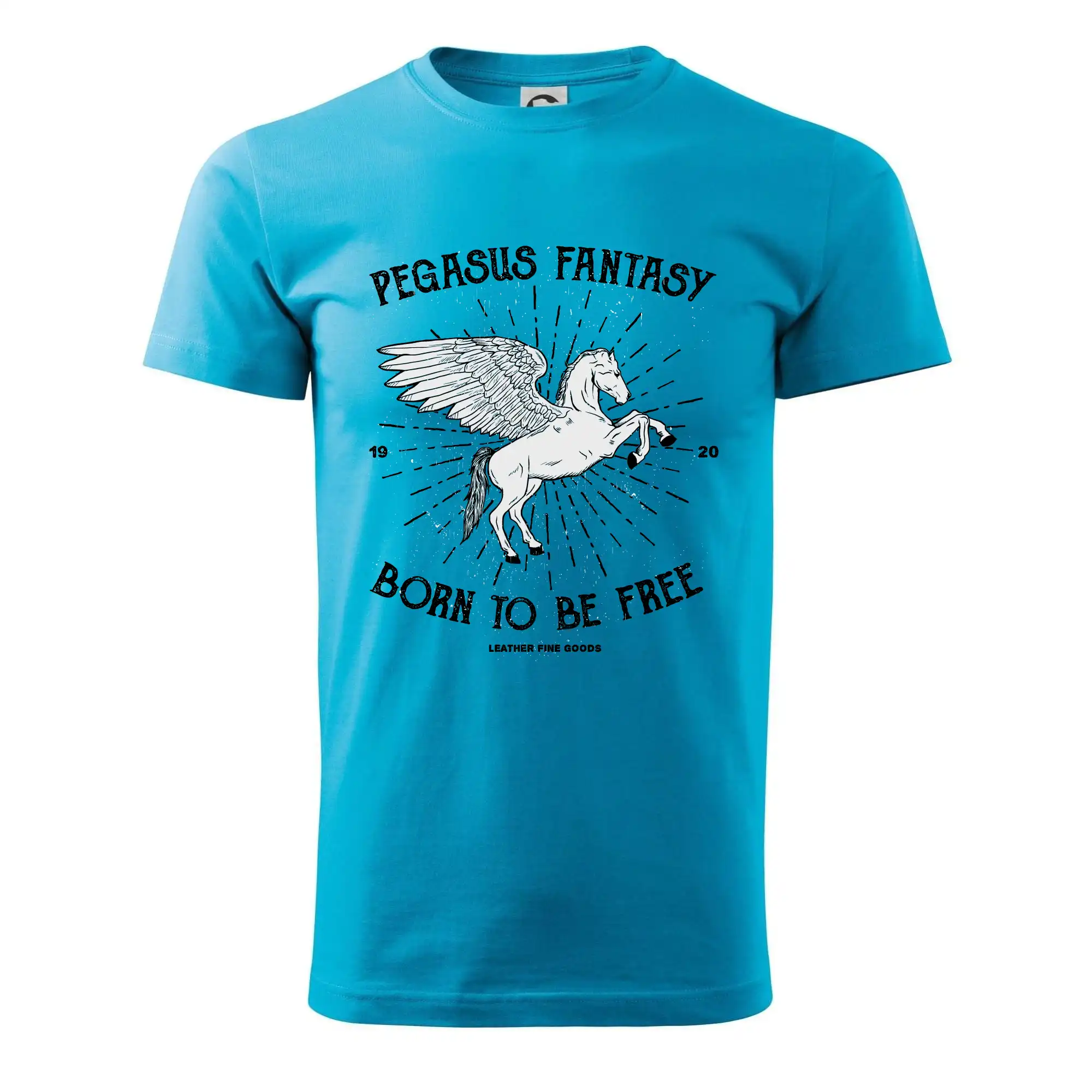 Pegasus fantasy