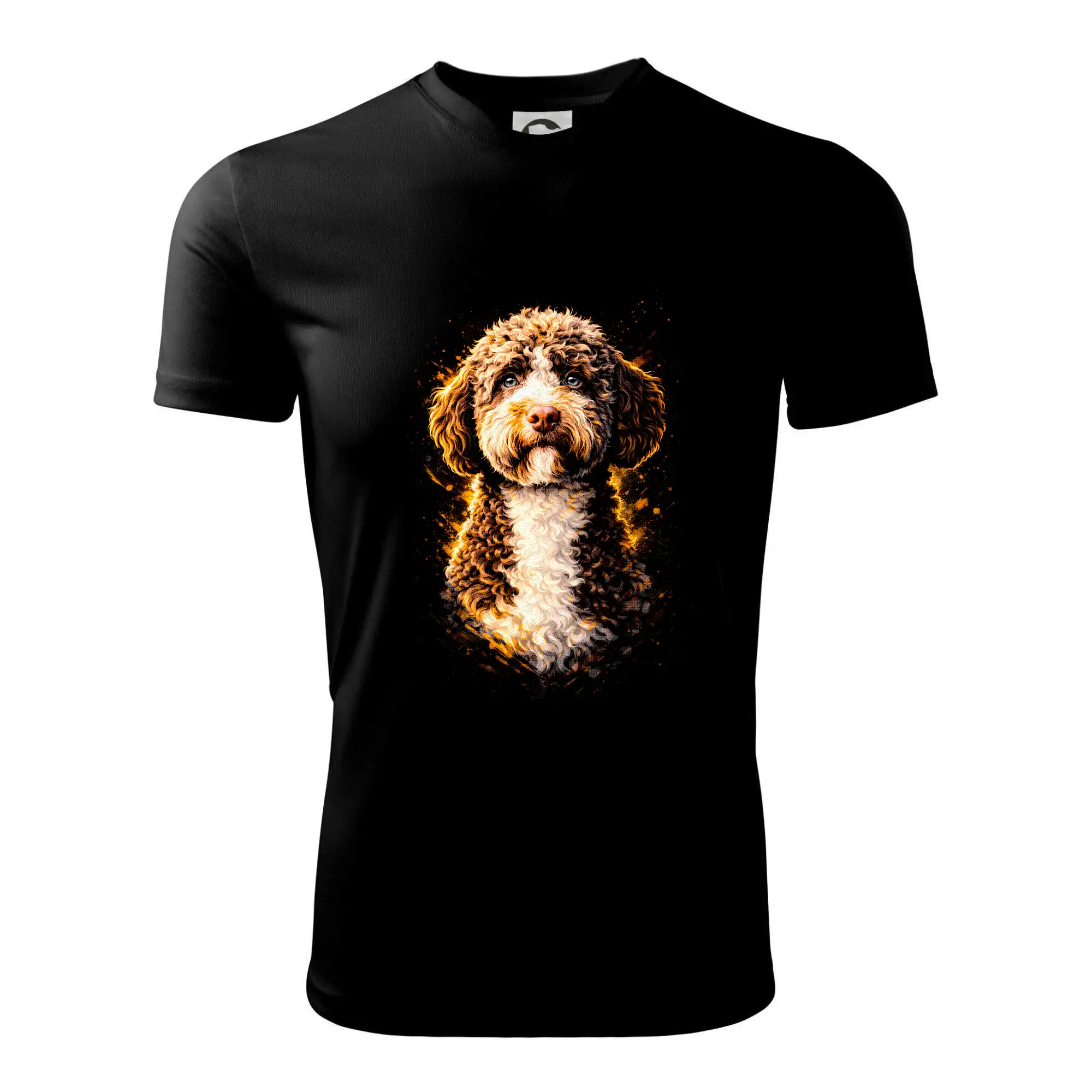 Obrázek polotón Lagotto Romagnolo