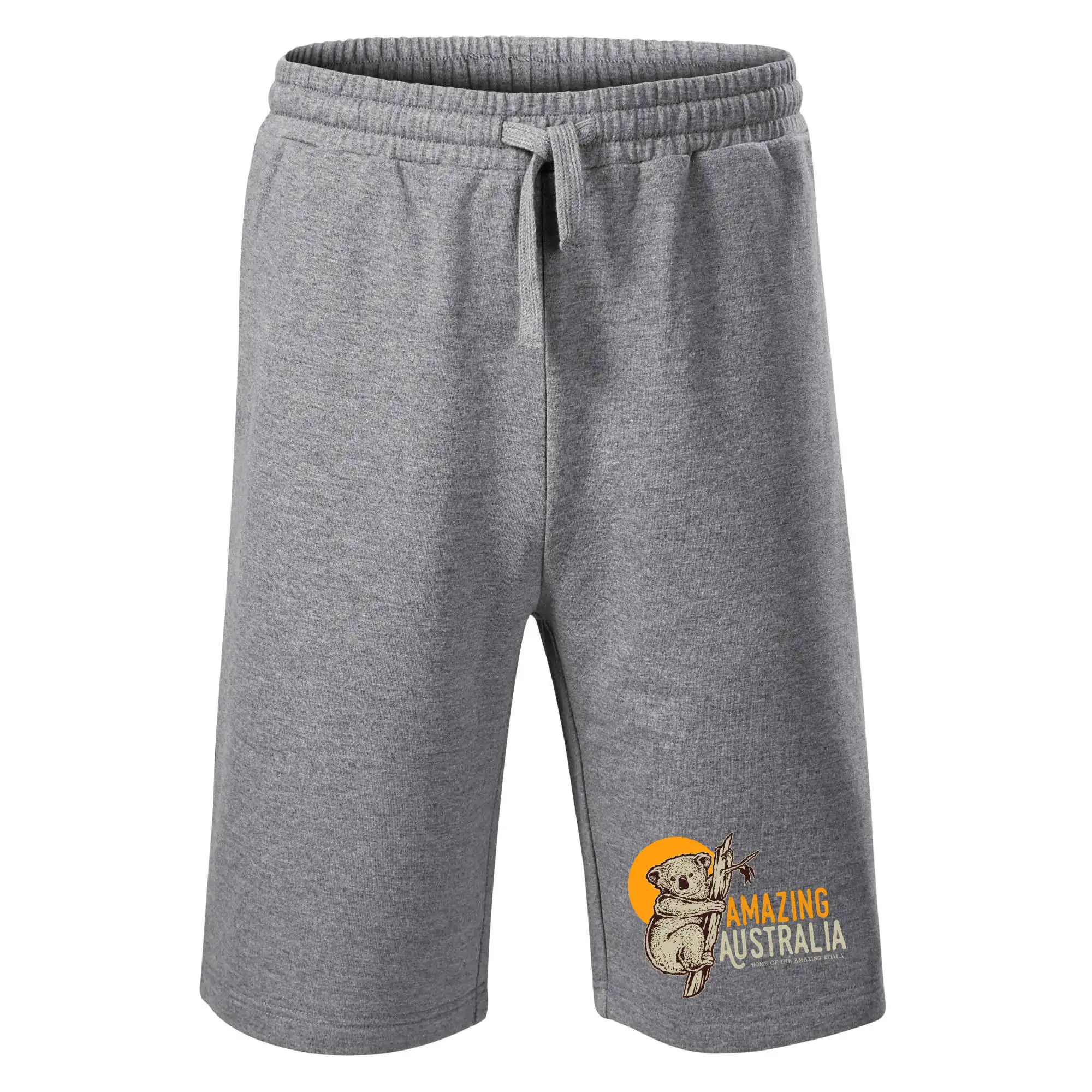 Amazing Australia koala