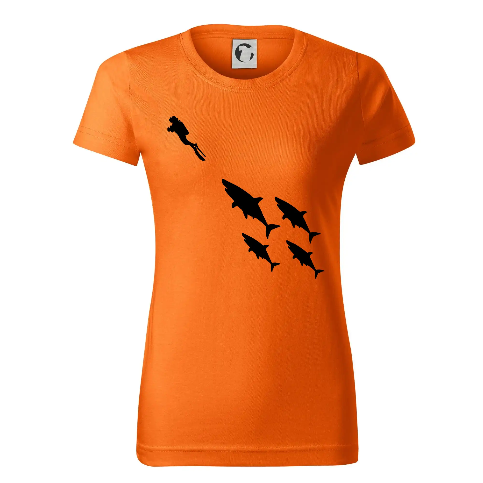 Potápač žraloky Potápač žraloky