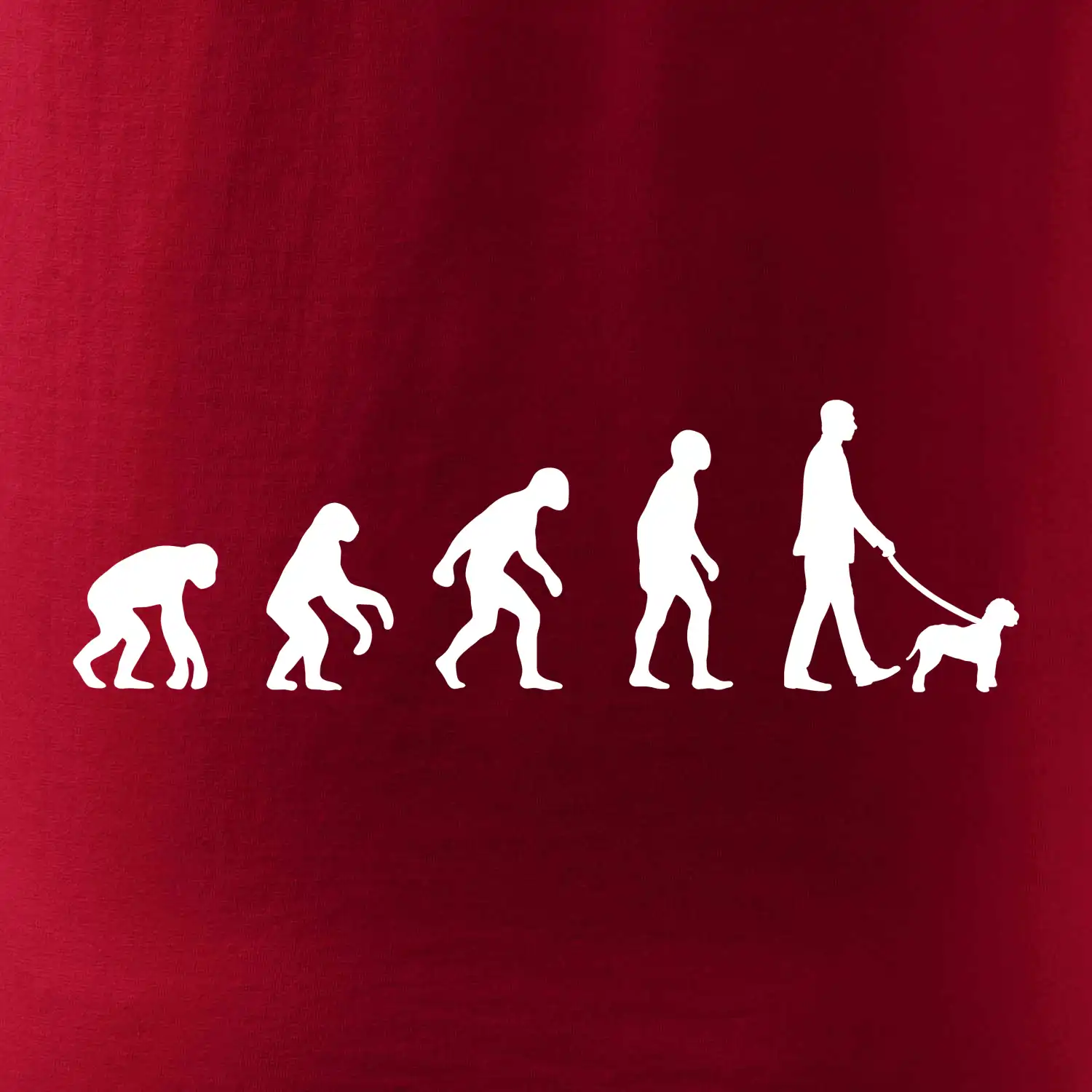 Lagotto romagnolo Evoluce