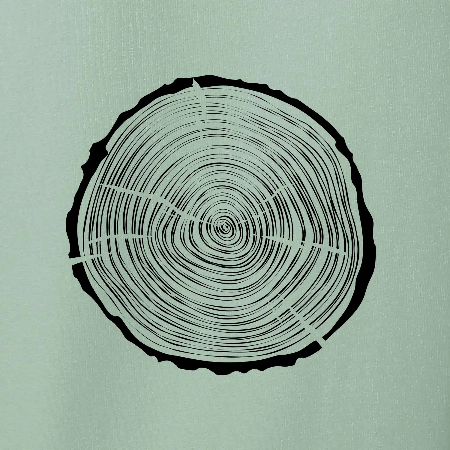 Letokruhy 35 bez věku