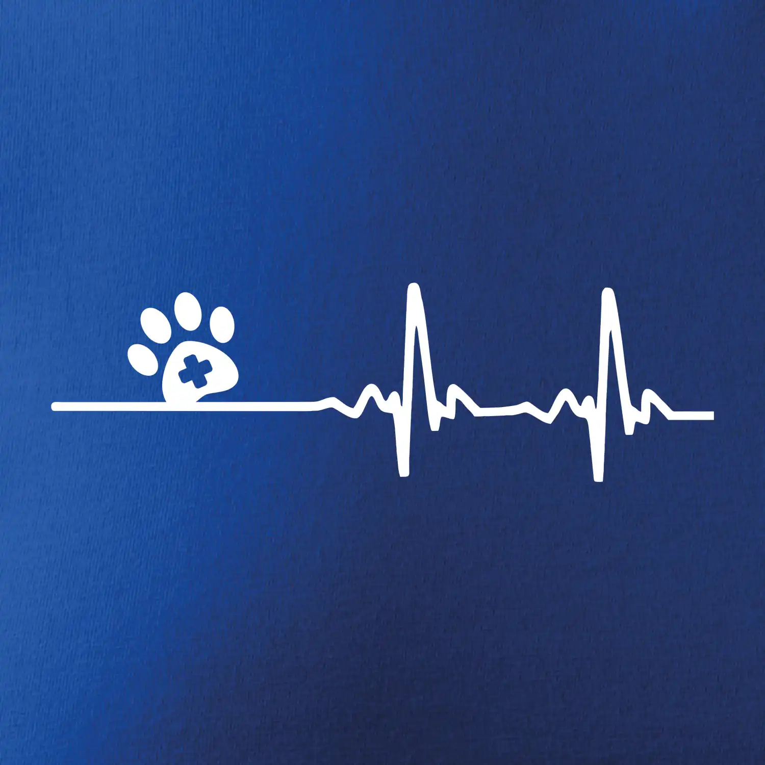 Veterinář EKG