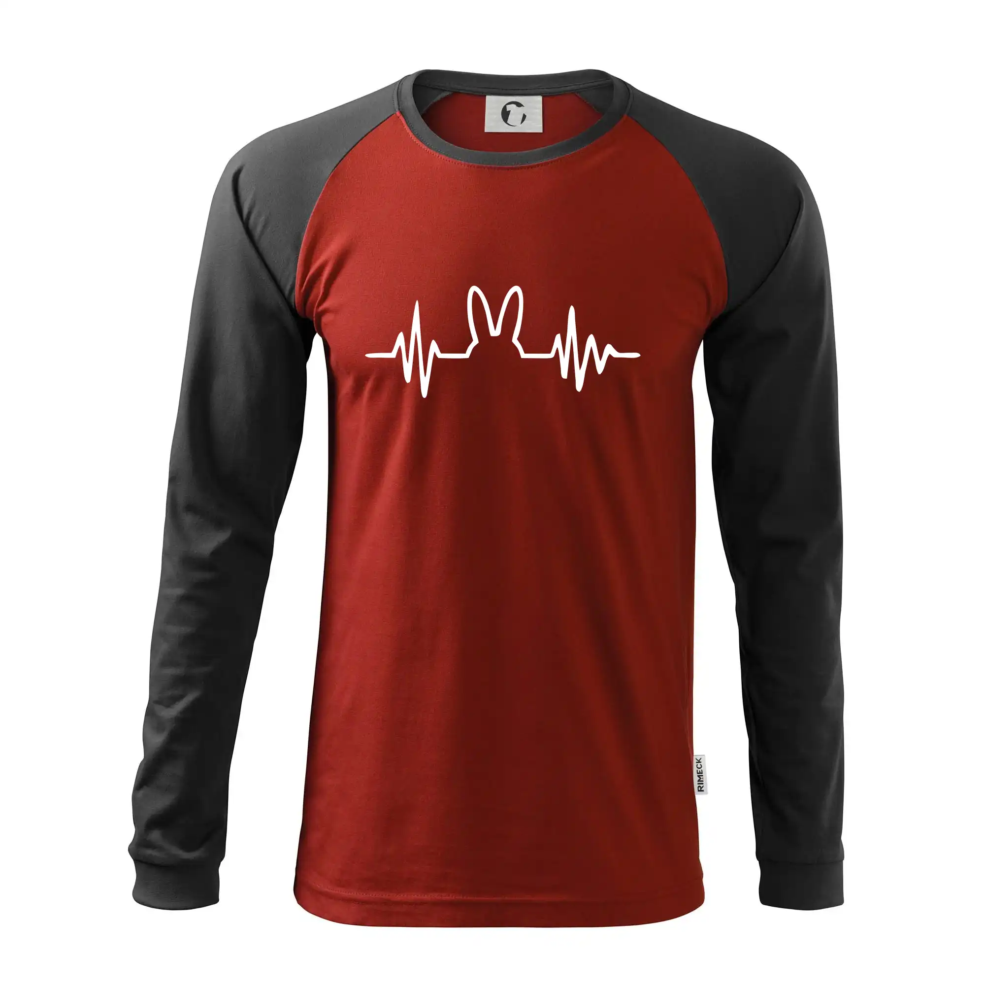 EKG zajíc