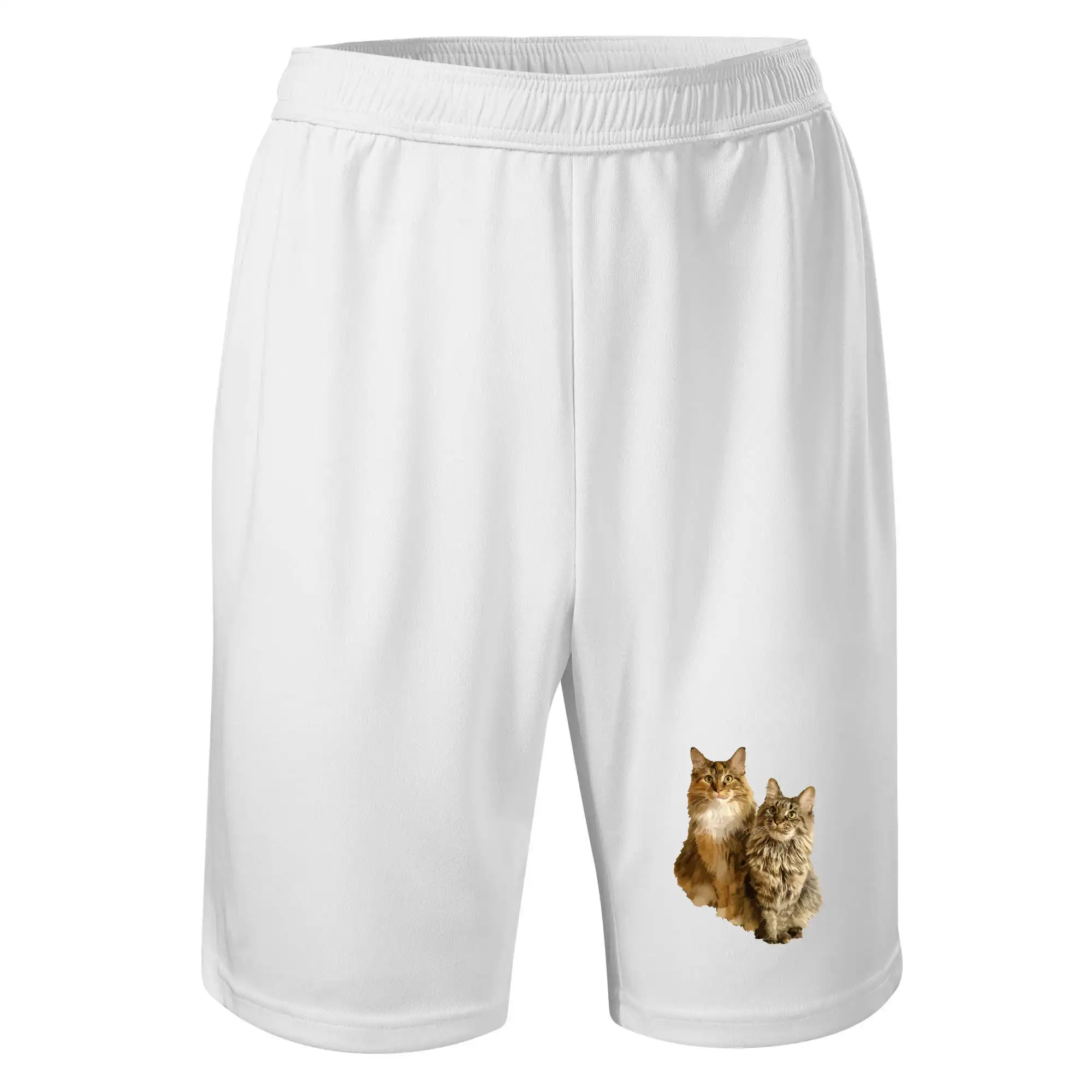 Kočky vectorizované  (Moňas)