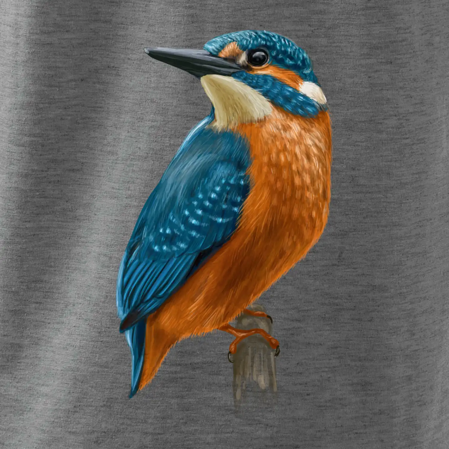 Lednáček kreslený