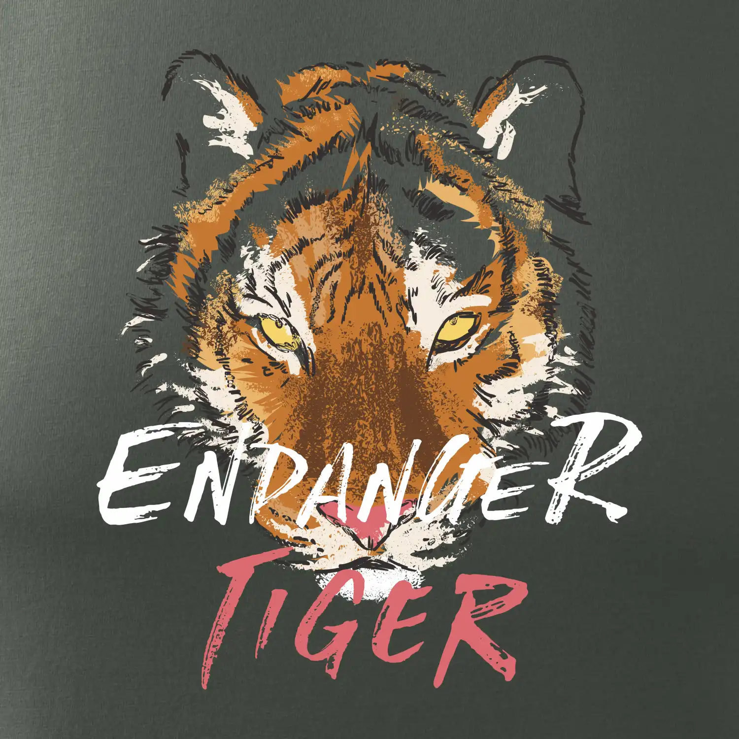 Tygr - endanger