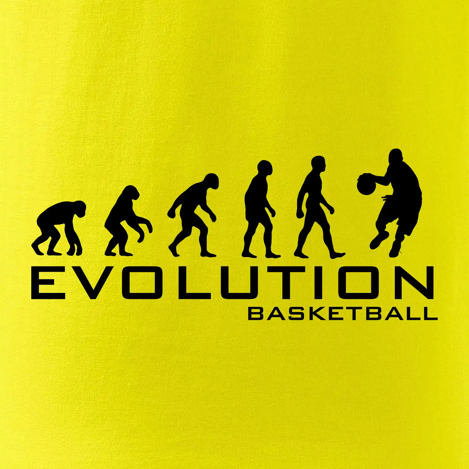 Evoluce Basketball