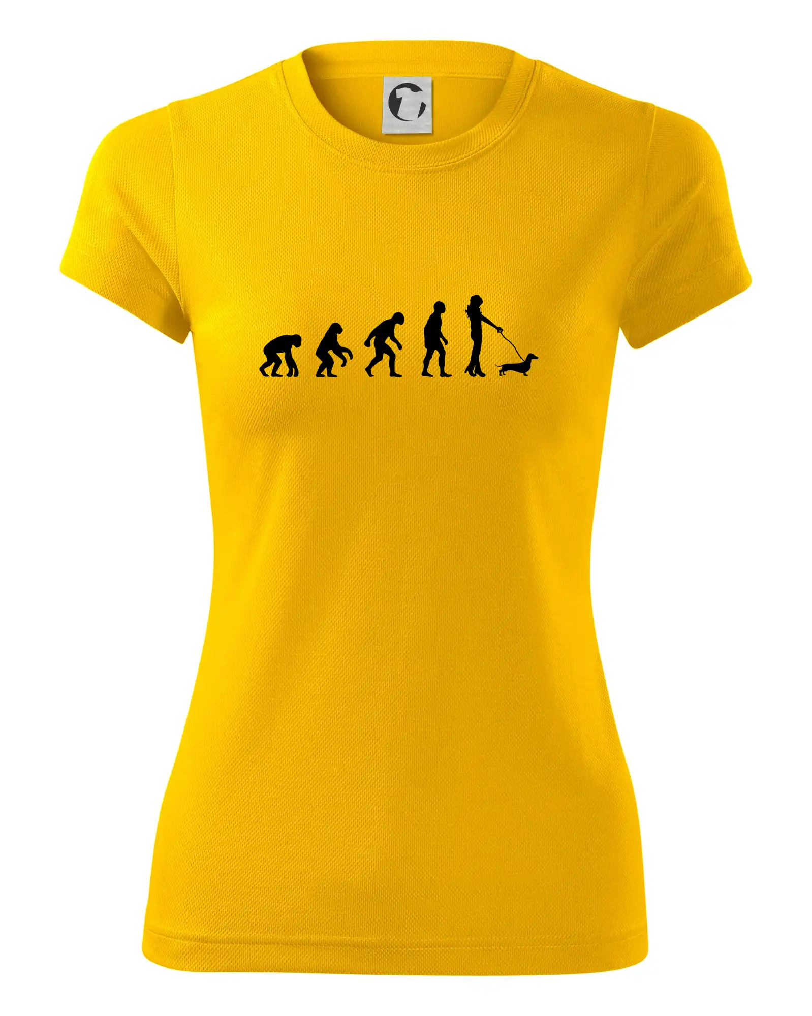 Jezevčík Evoluce žena