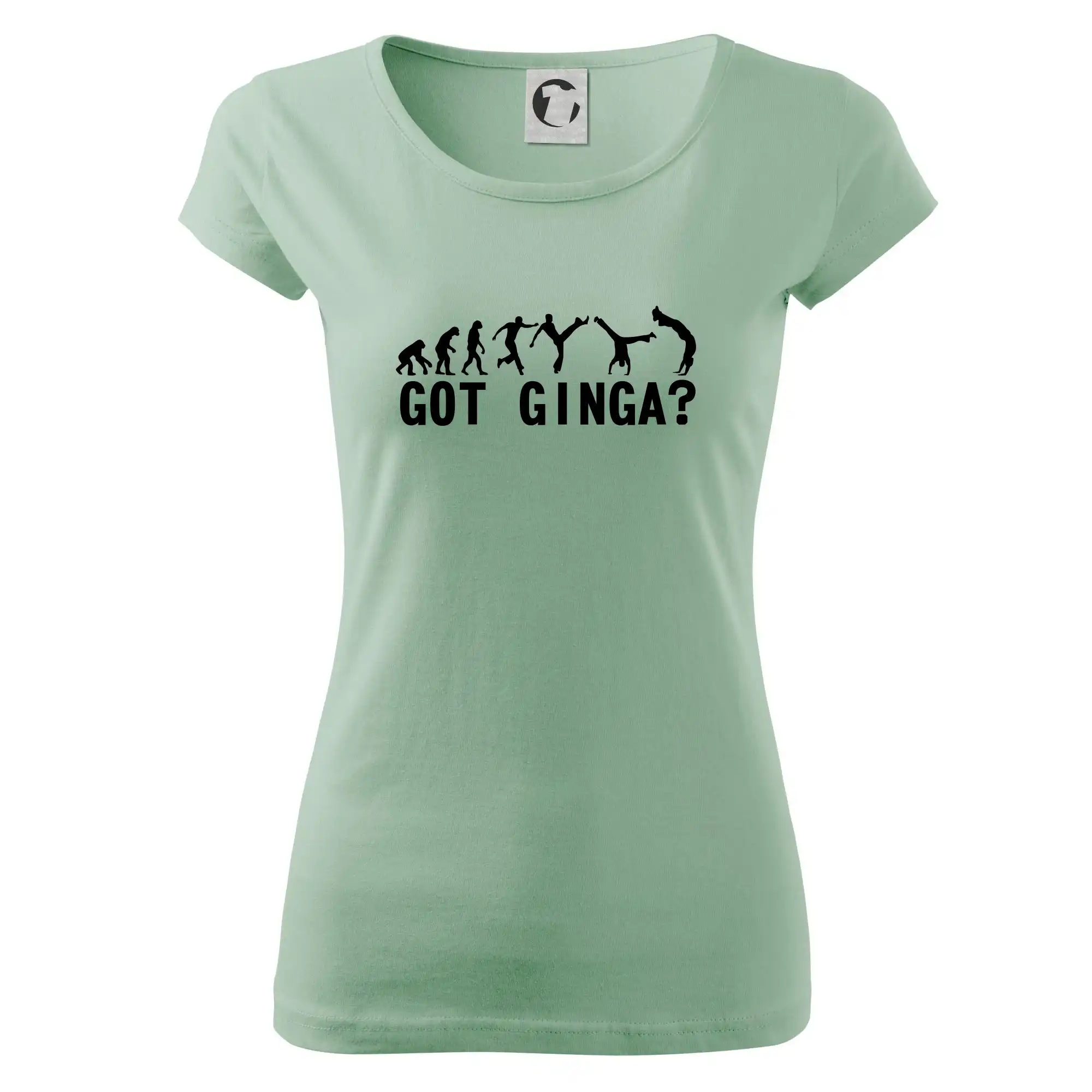 Capoeira - Got Ginga