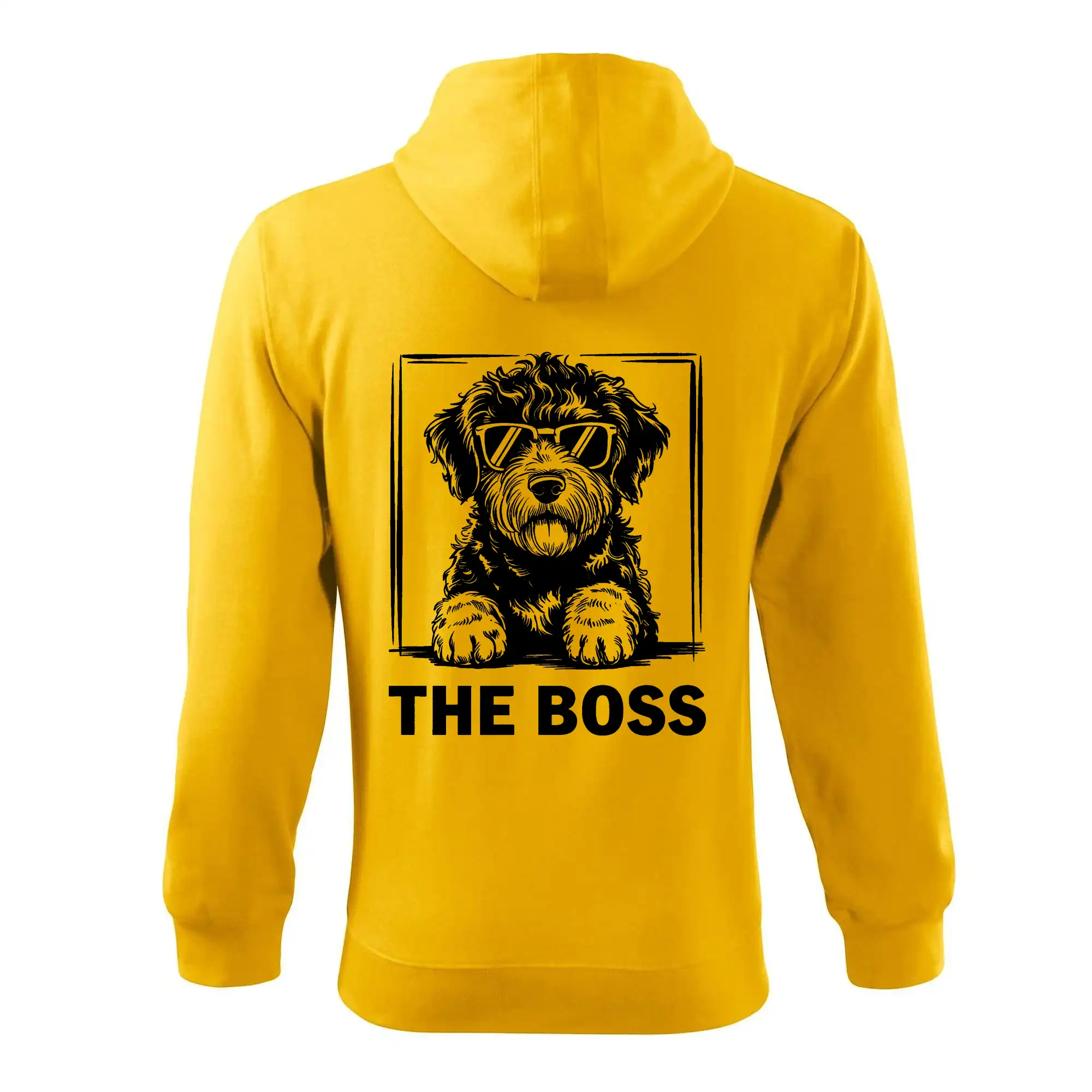 Lagotto romagnolo the boss