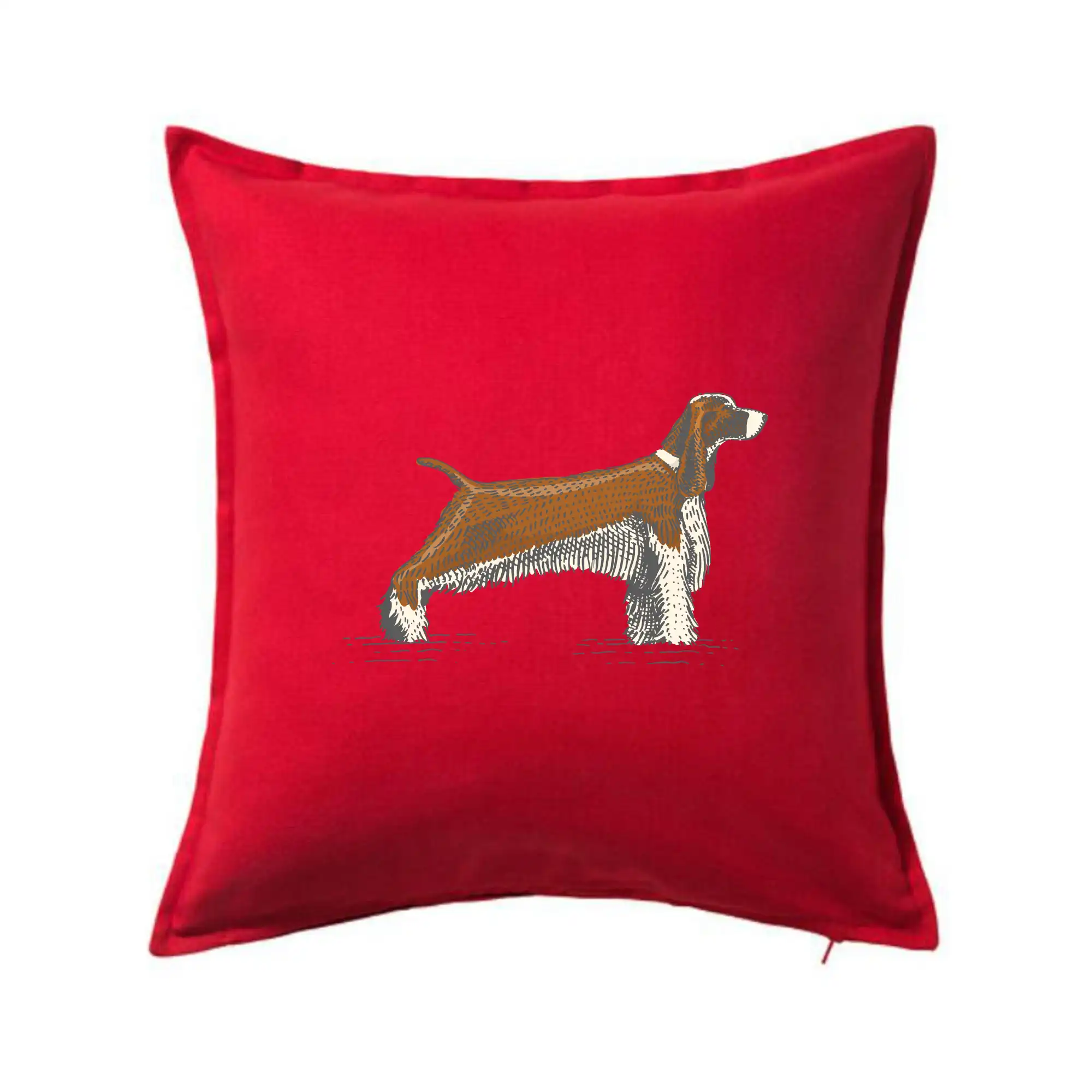 Vintage Springer spaniel