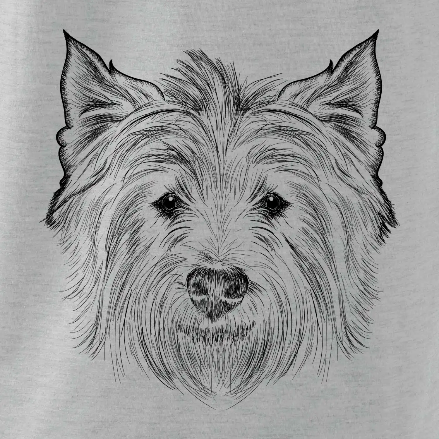 Teriér kresba