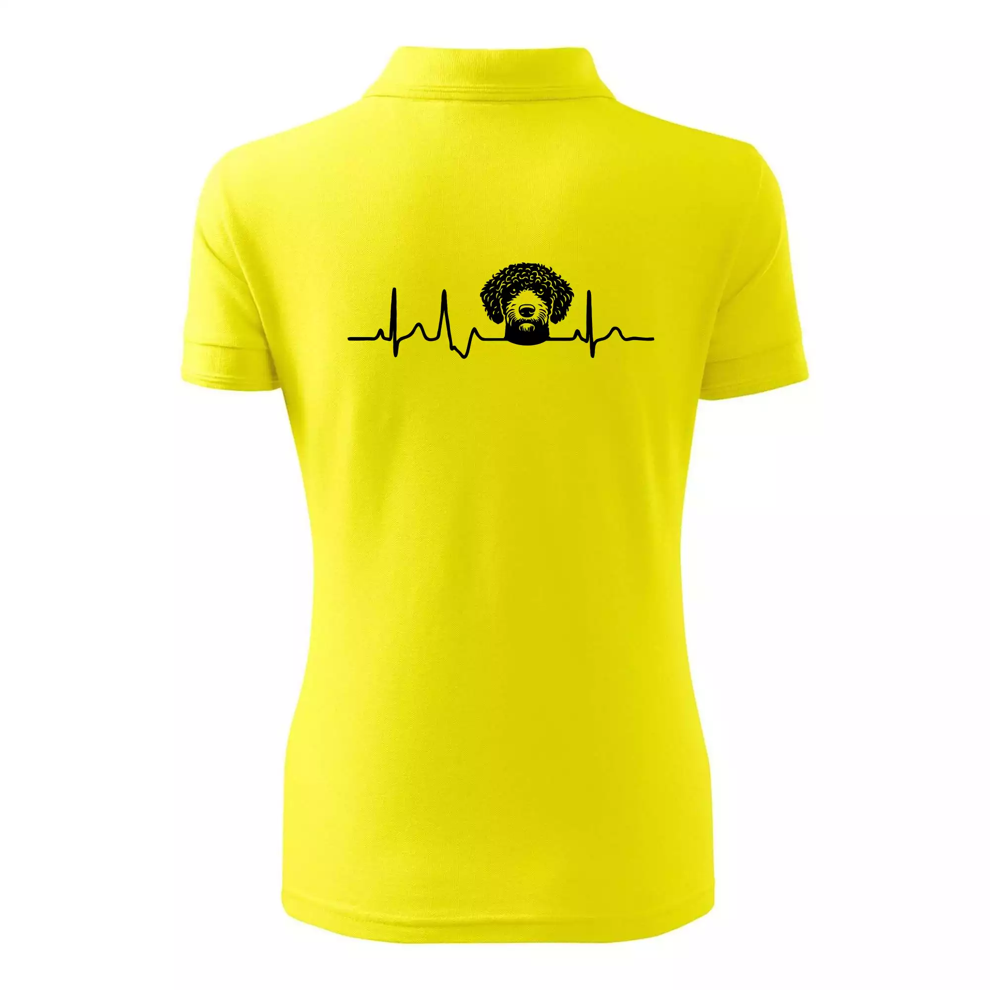 Lagotto romagnolo hlava EKG