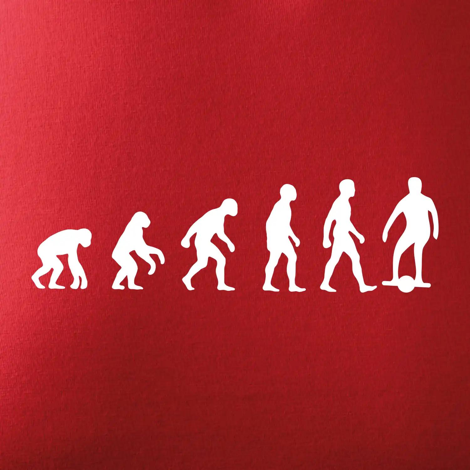 Evoluce onewheel