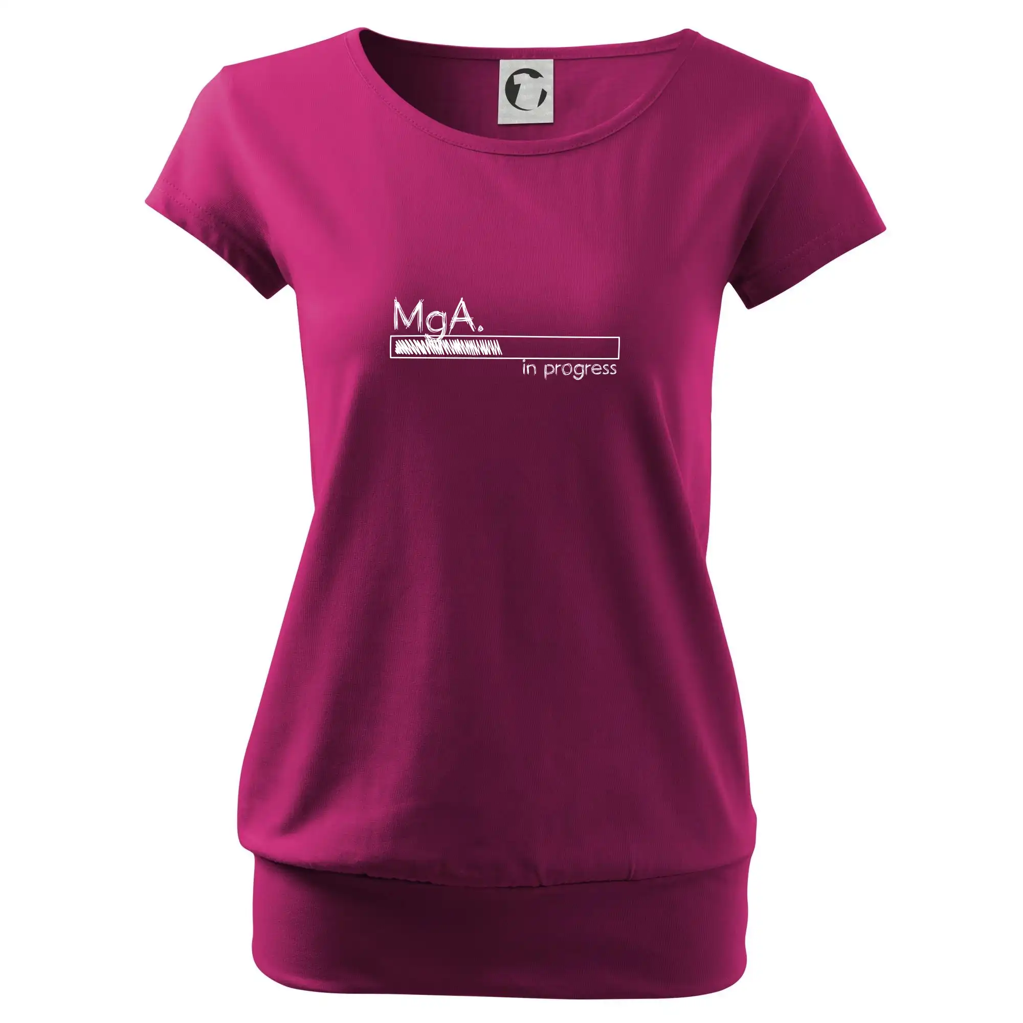 In progress titul MgA.  magistr / magistra umění