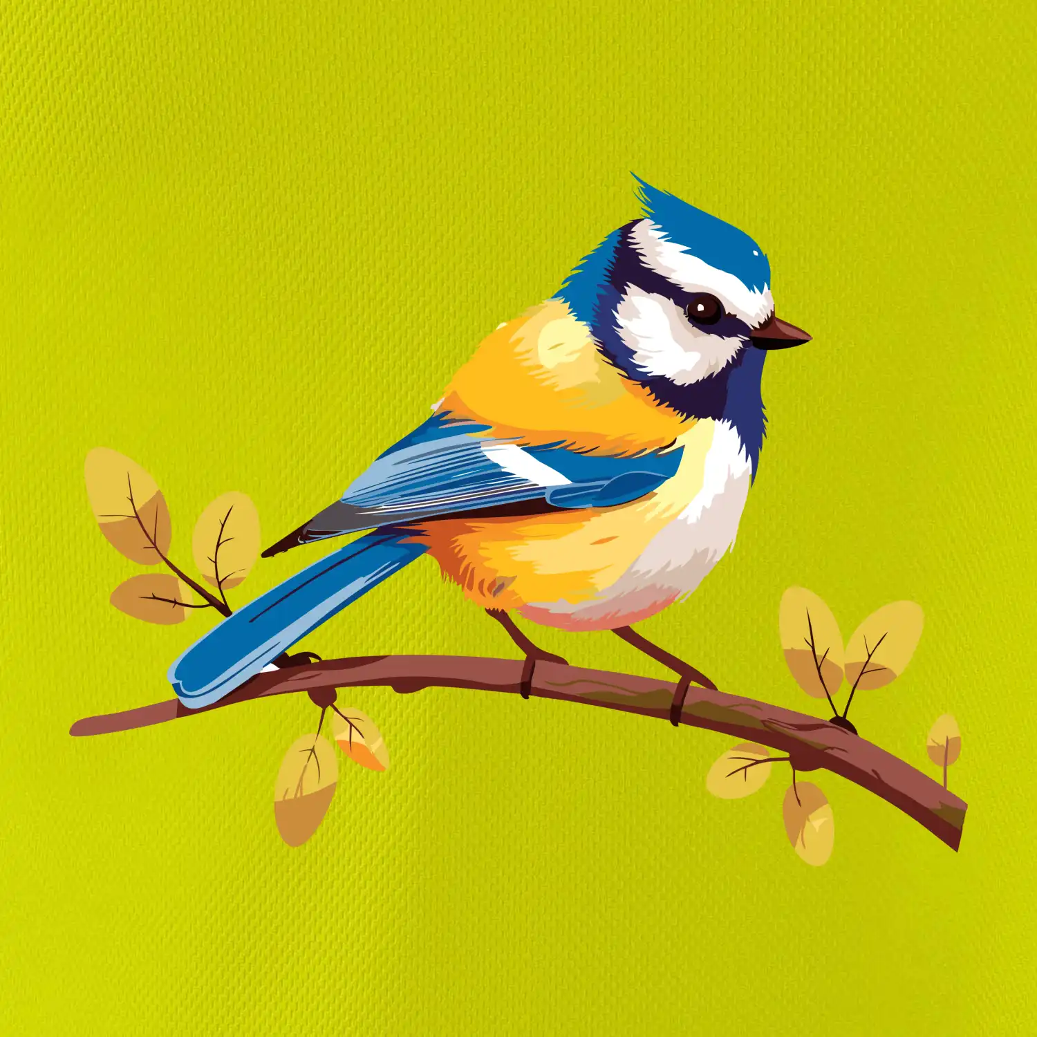 Sýkorka modřinka kreslená