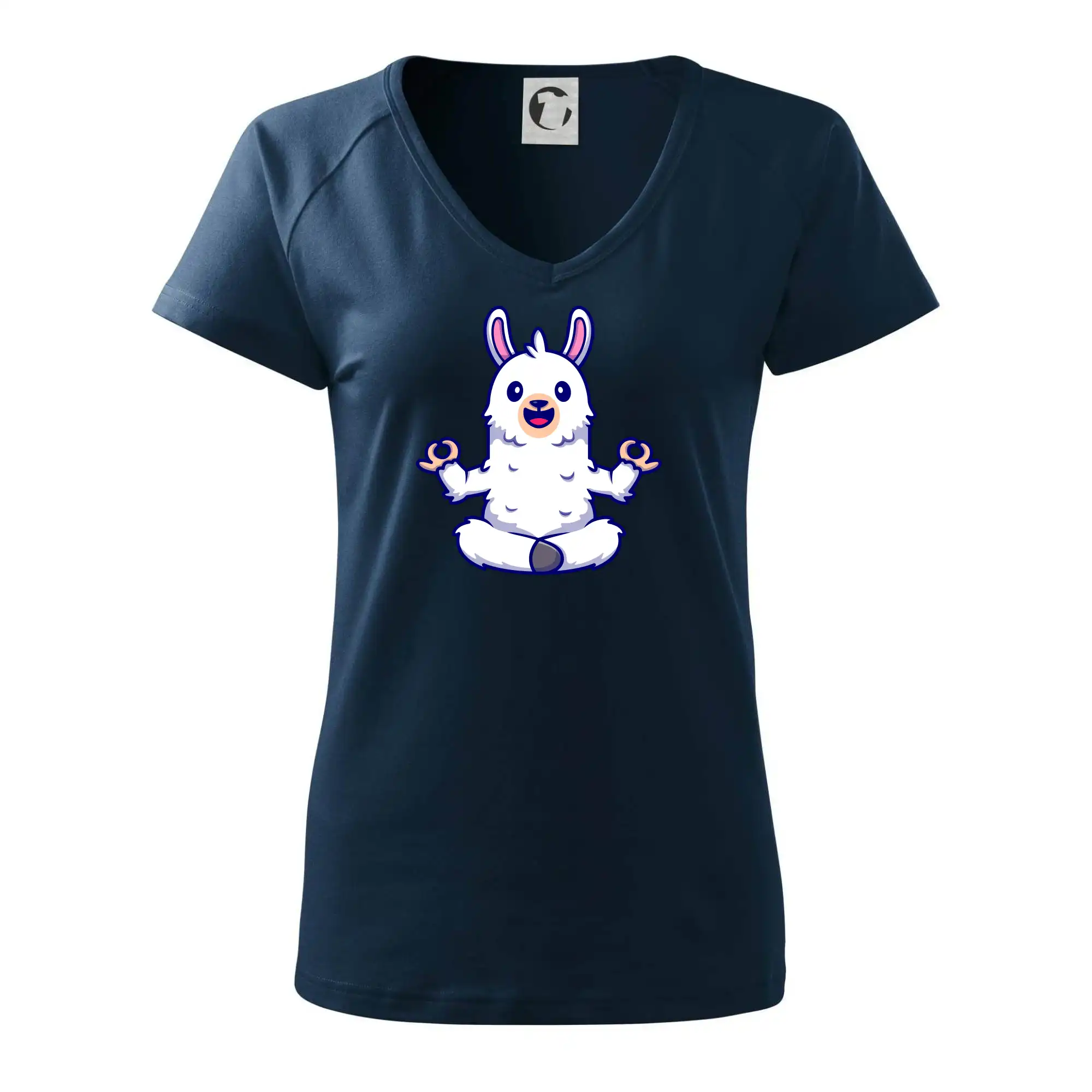 Yoga meditace - lama