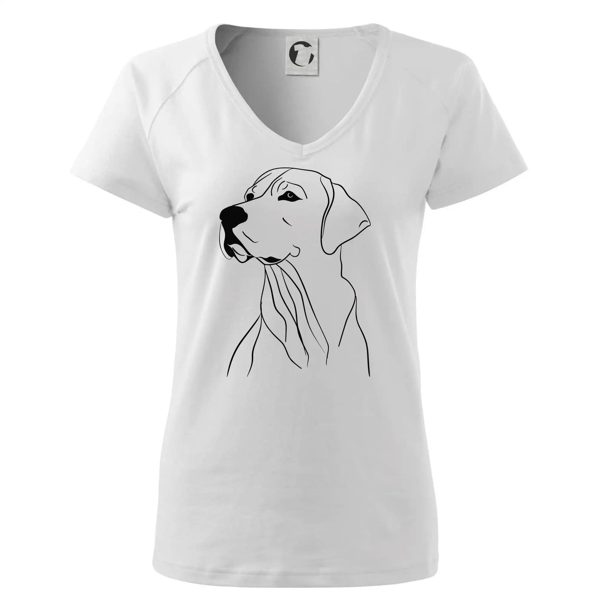 Labrador černá kresba