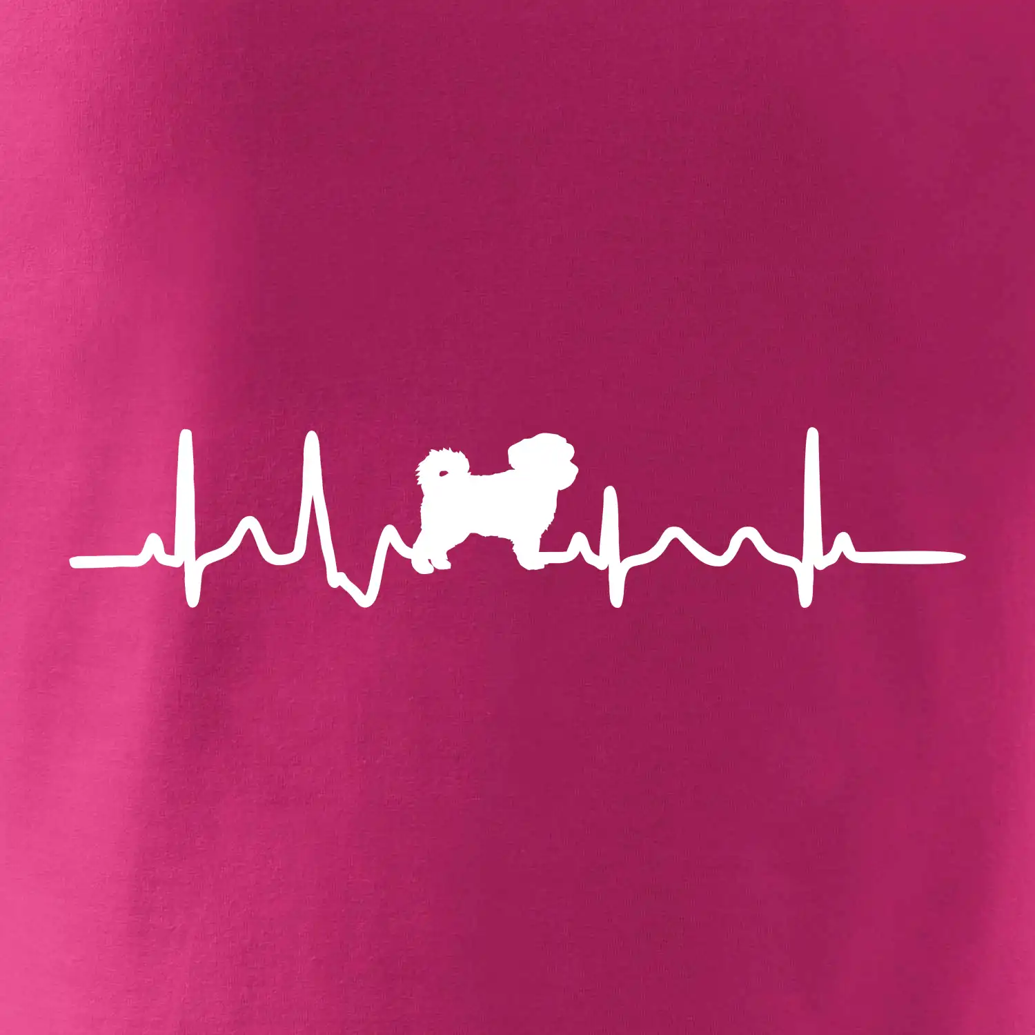 Havanský psík ekg
