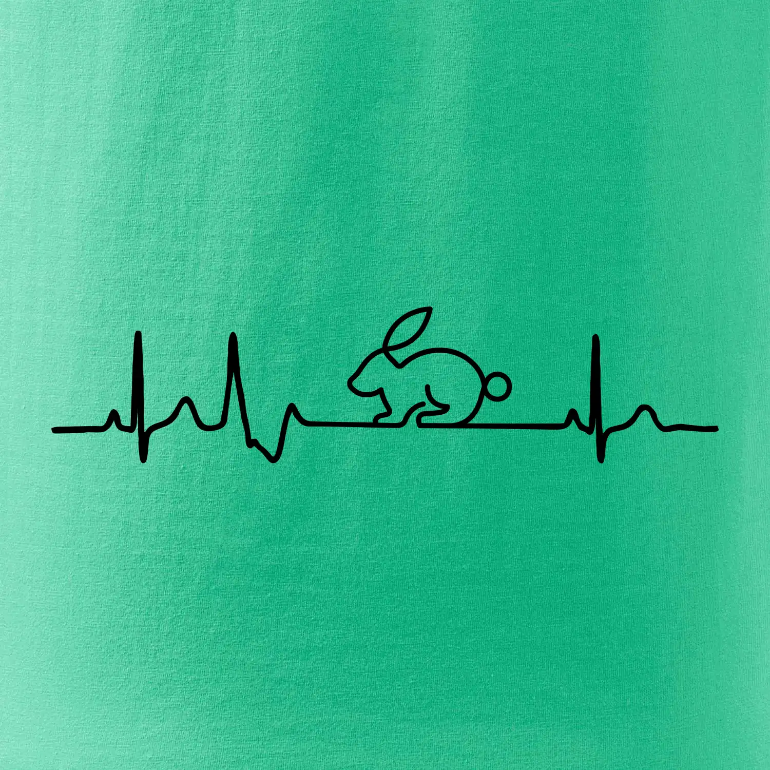 EKG králík