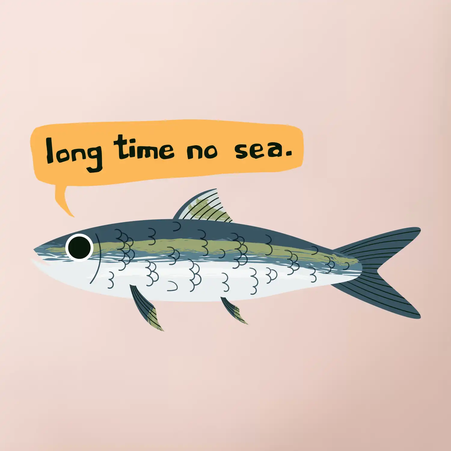 Long time no sea