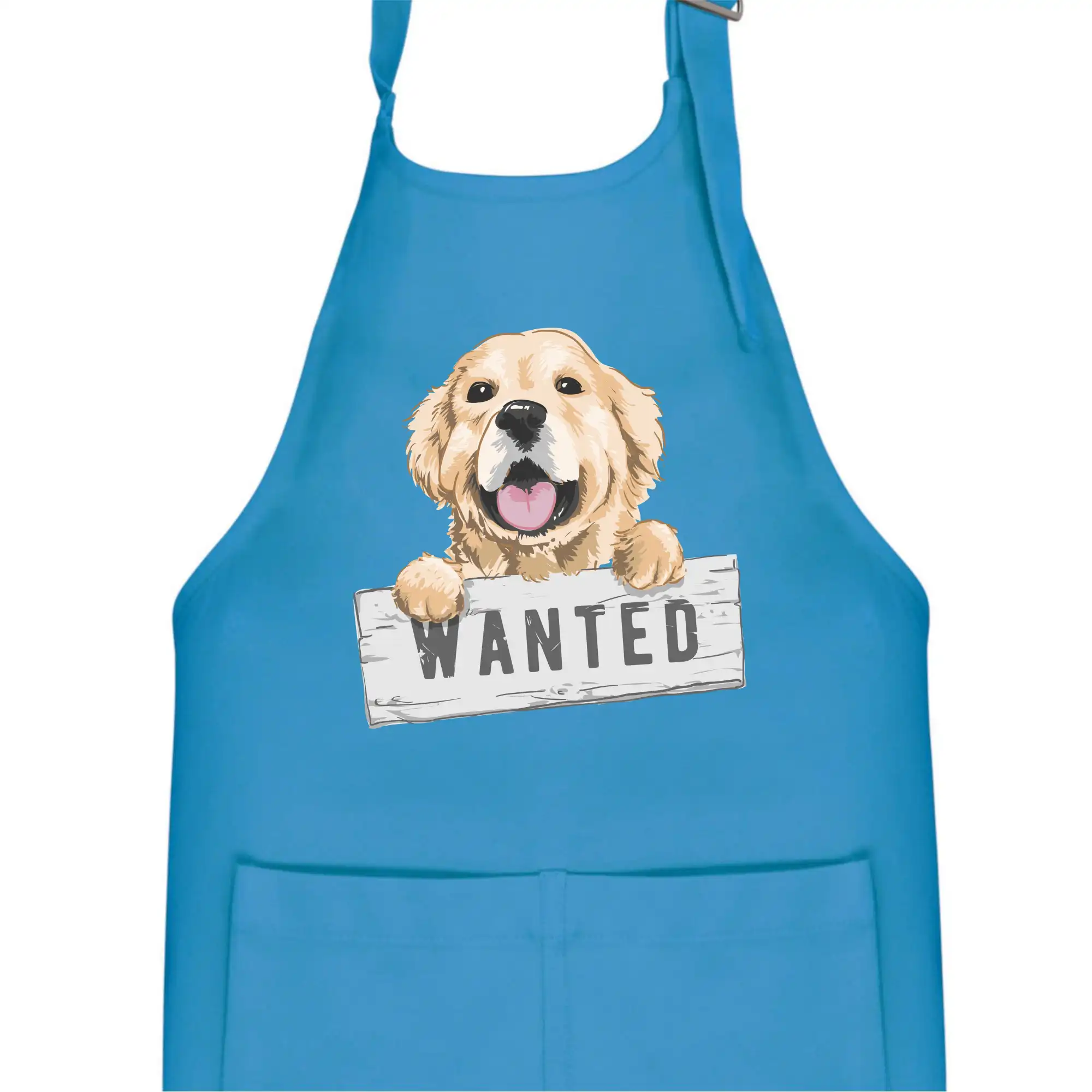 Zlatý retriever - štěně wanted