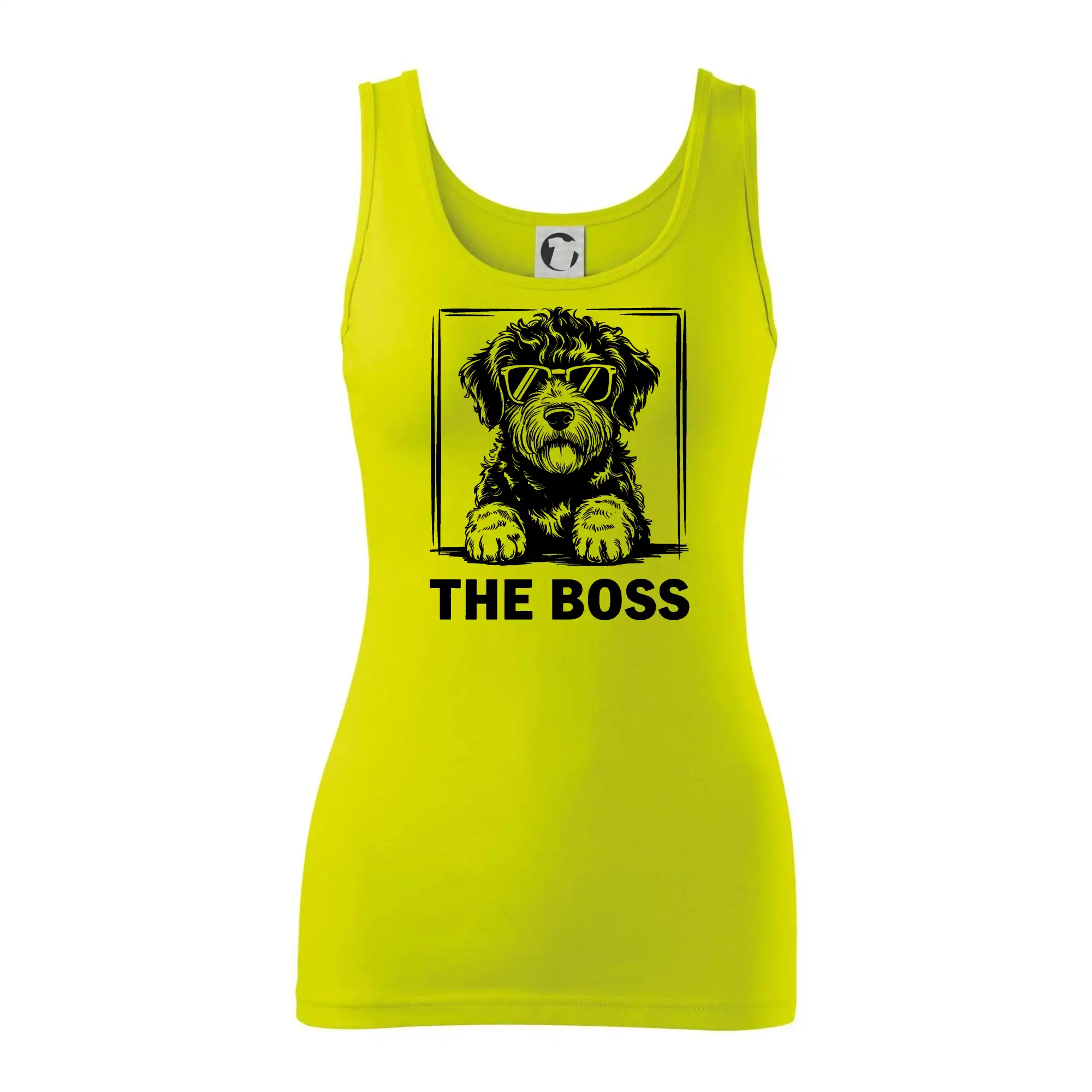 Lagotto romagnolo the boss