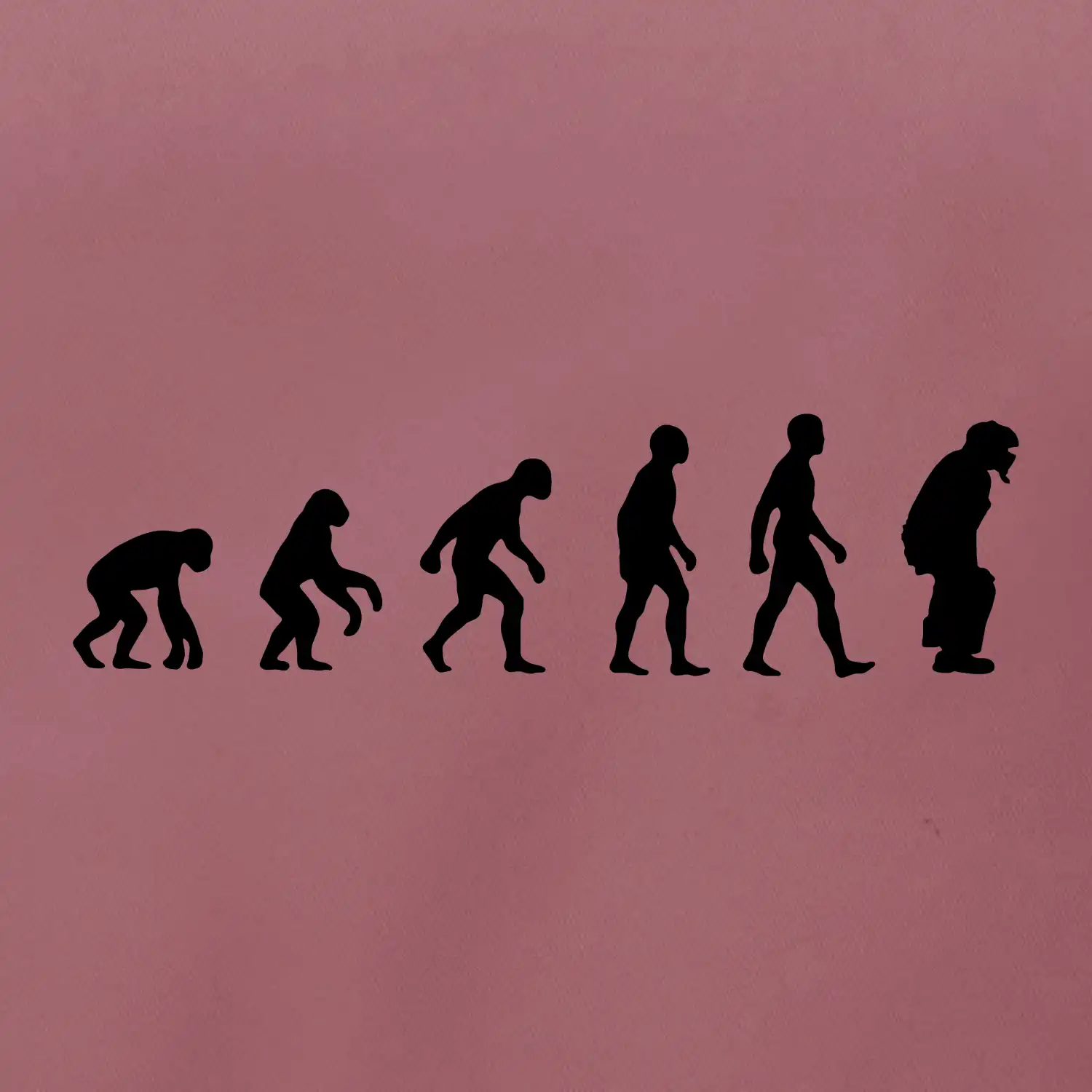 Evoluce baseball chytač