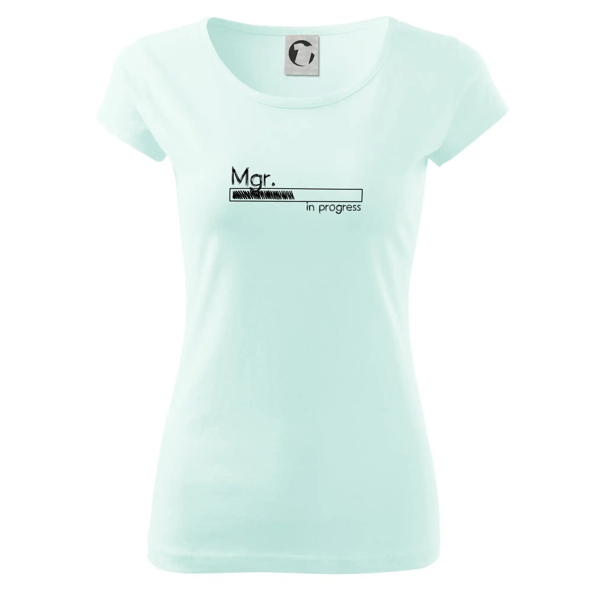 In progress titul Mgr.  magistr / magistra