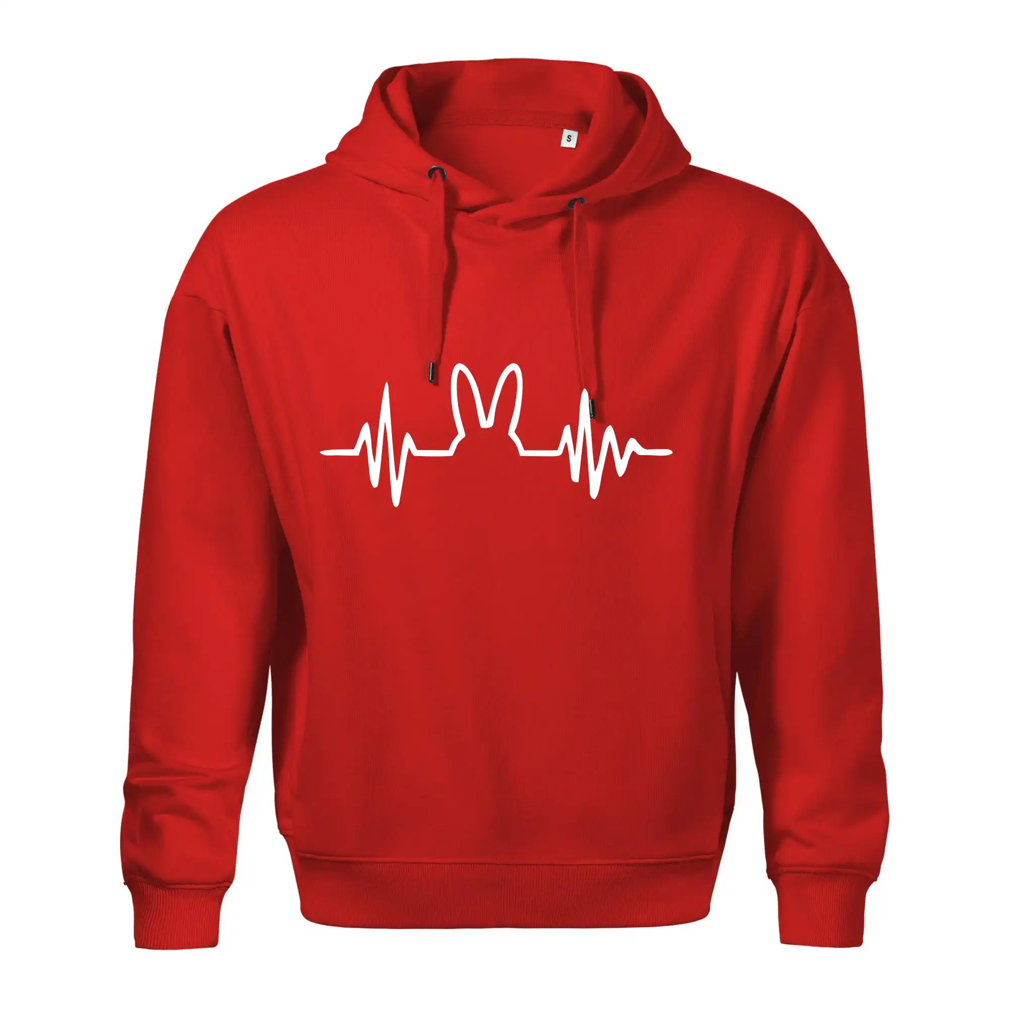 EKG zajíc