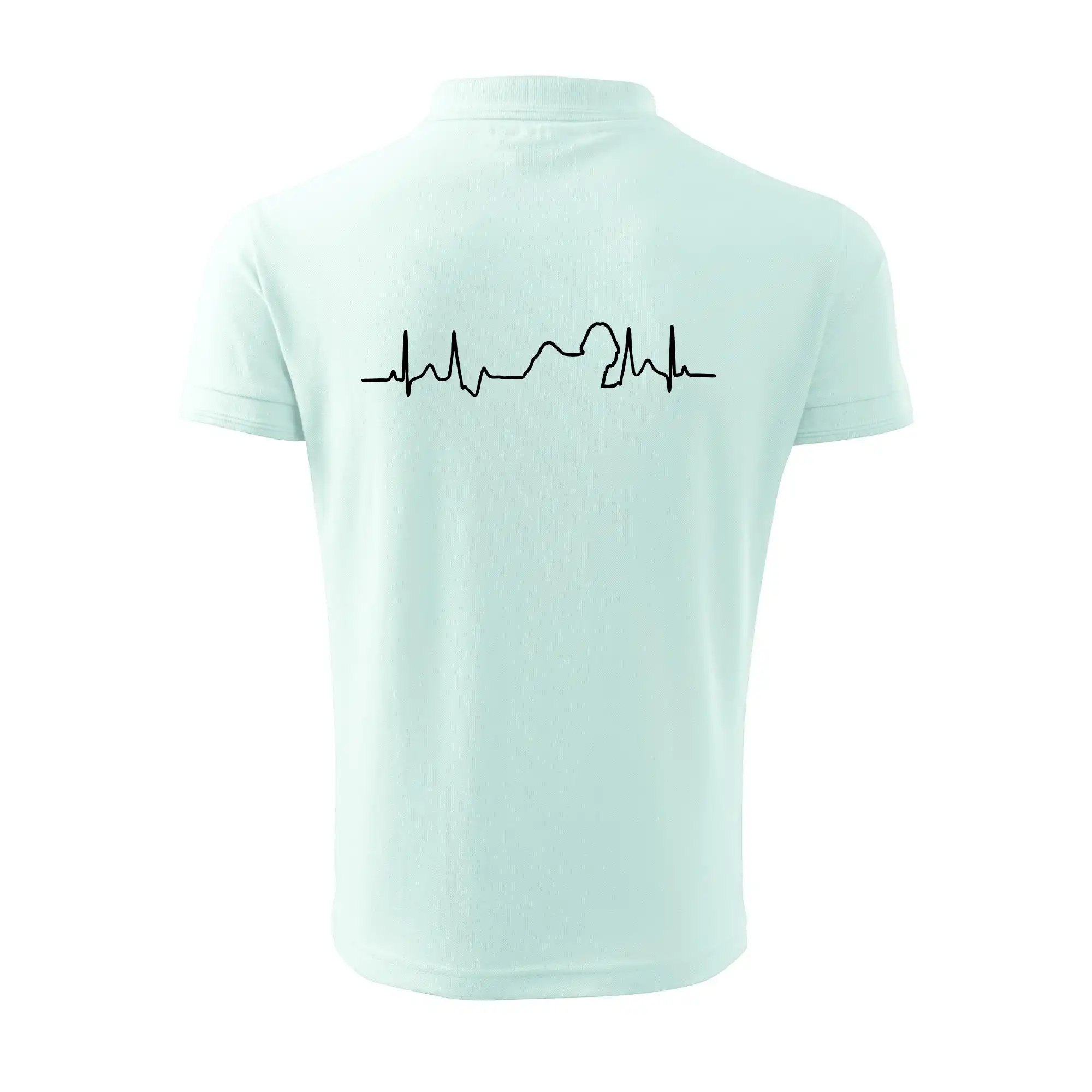 Shih-tzu ekg obrys