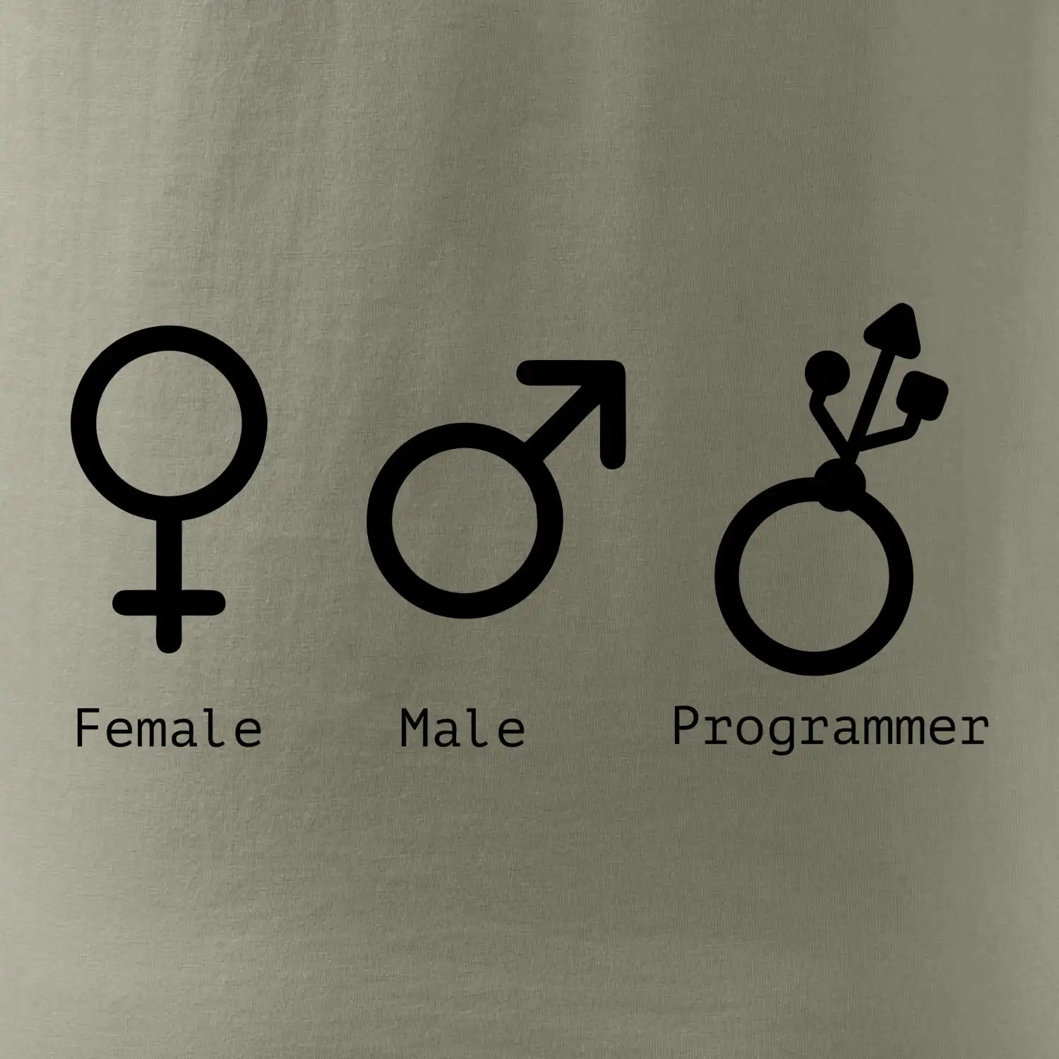 Female male programmer