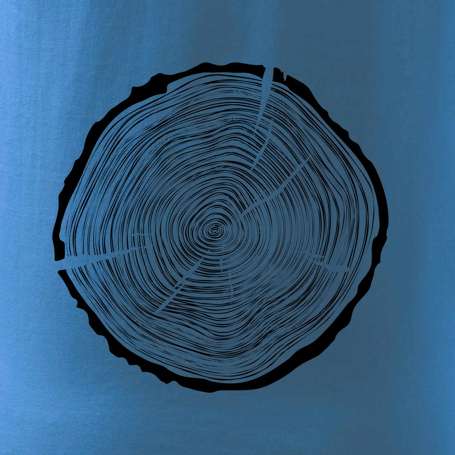 Letokruhy 55 bez věku