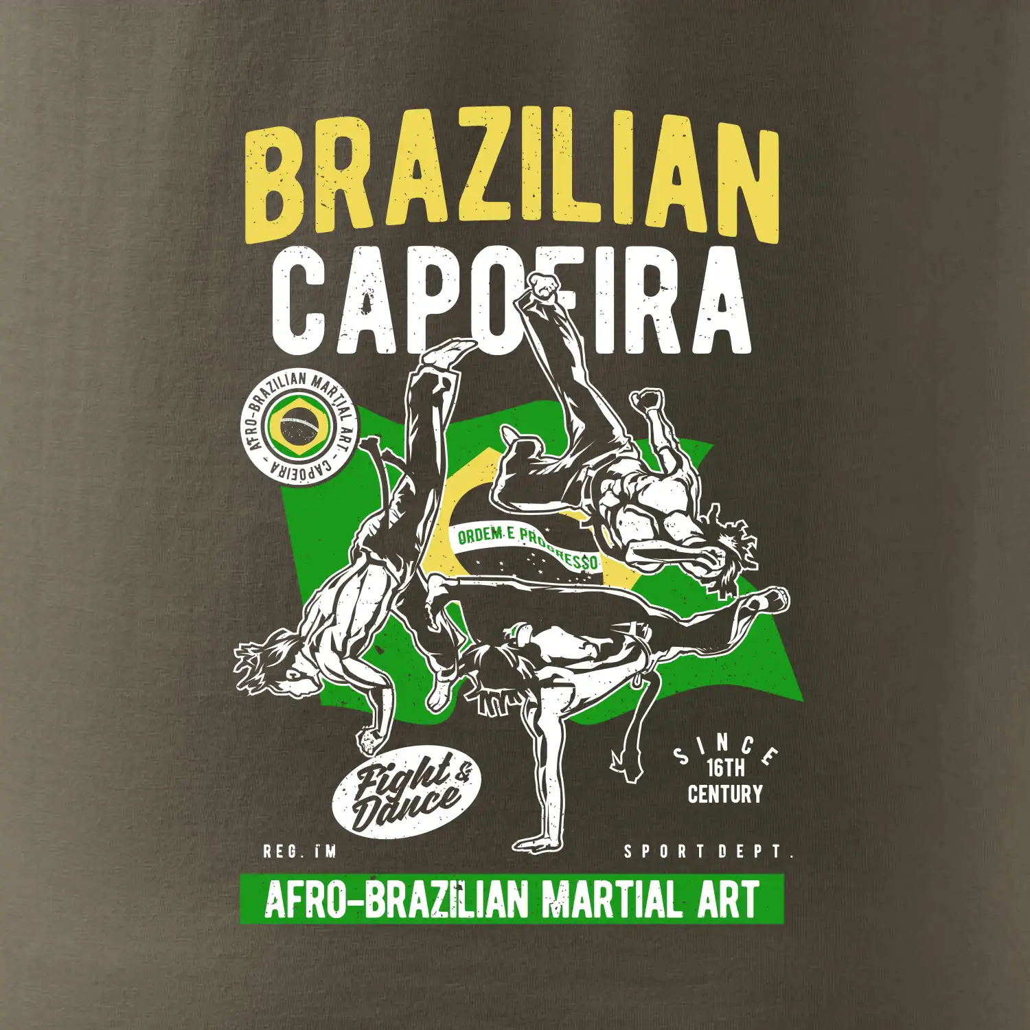 Brazilian Capoeira