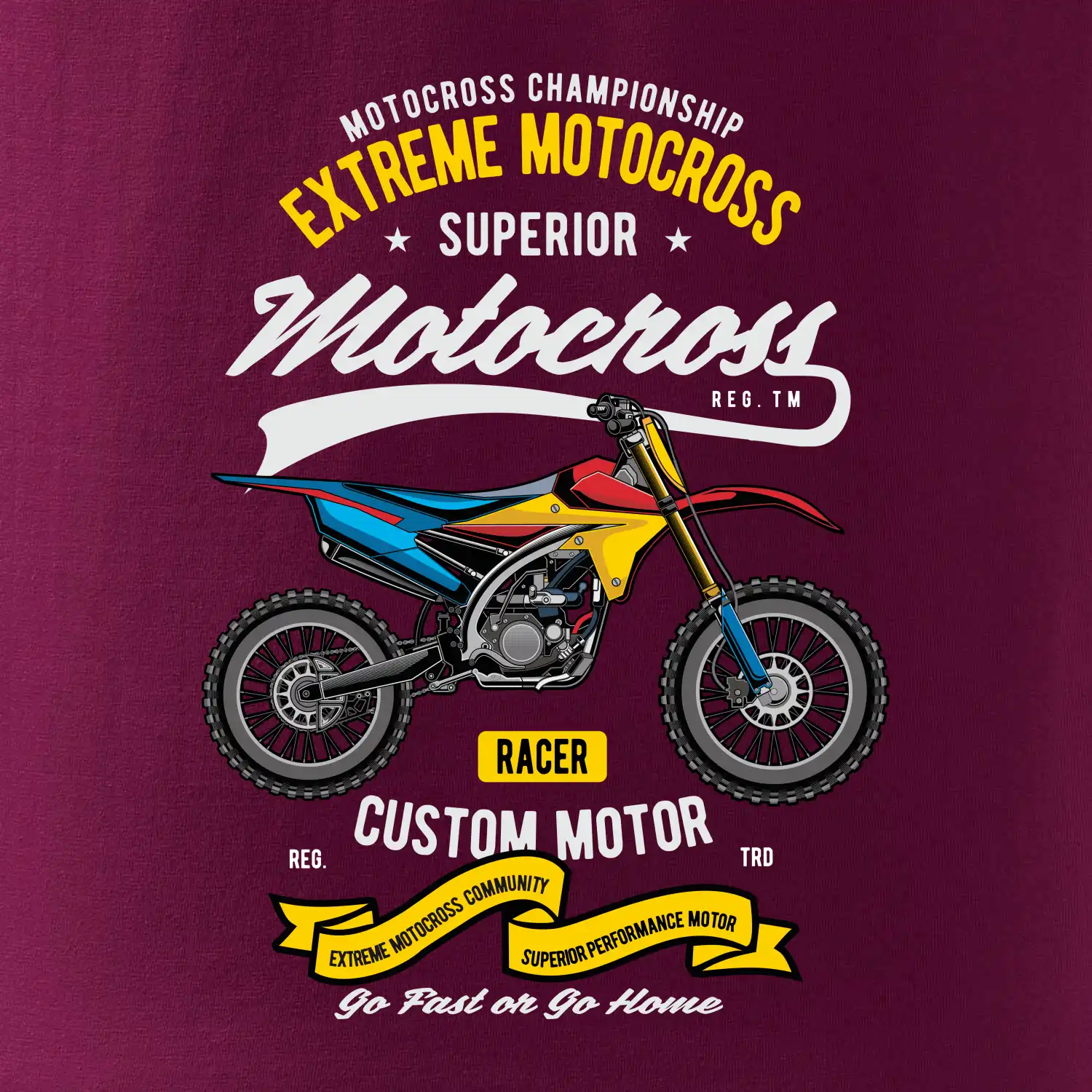 Motocross extreme custom motor