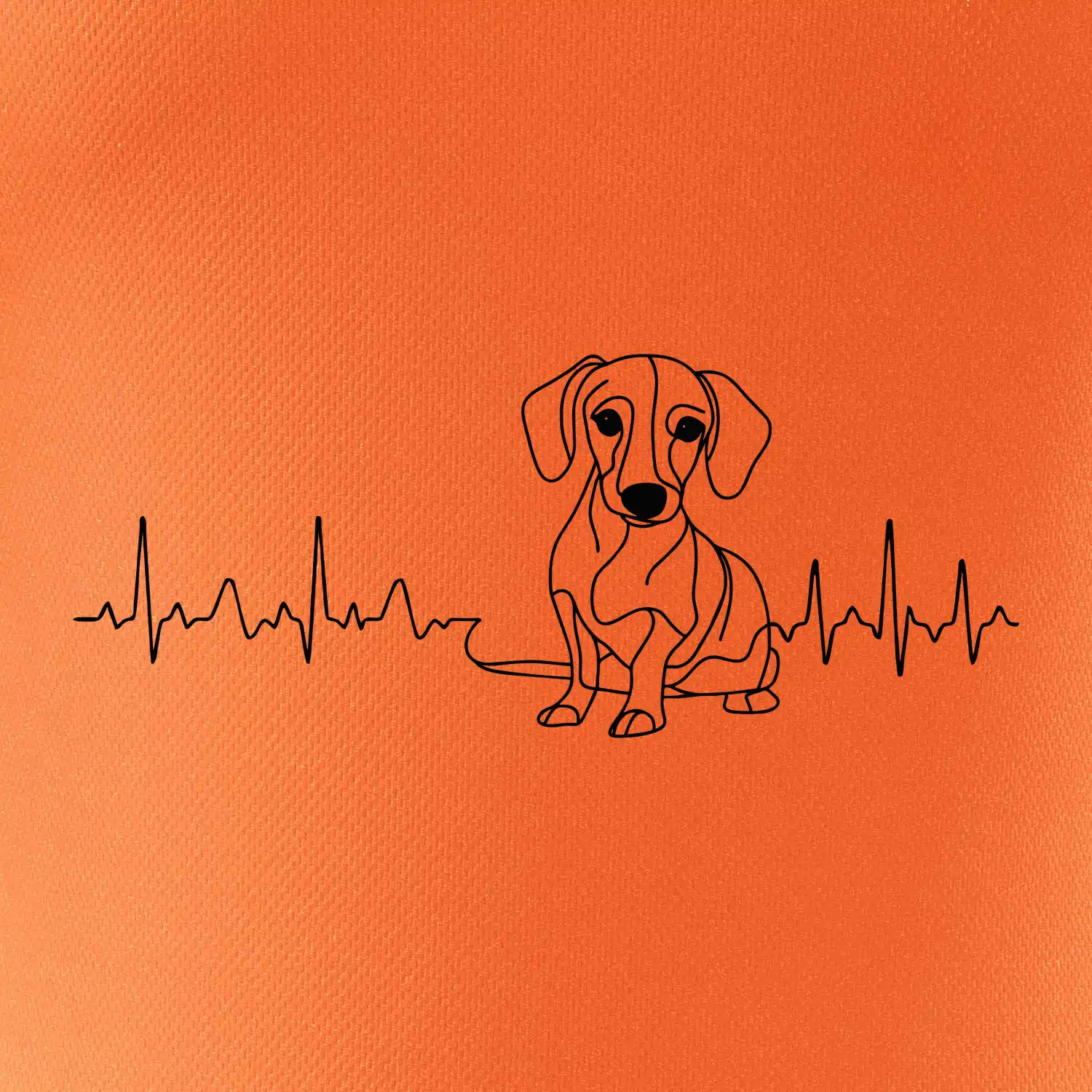 EKG křivka jezevčík