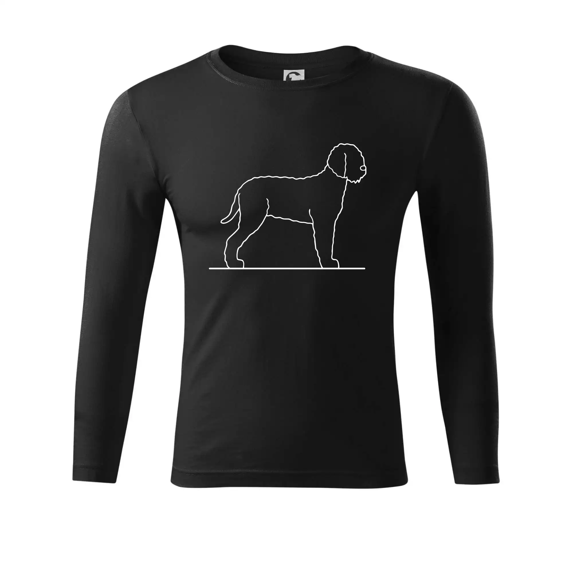 Lagotto romagnolo stojící