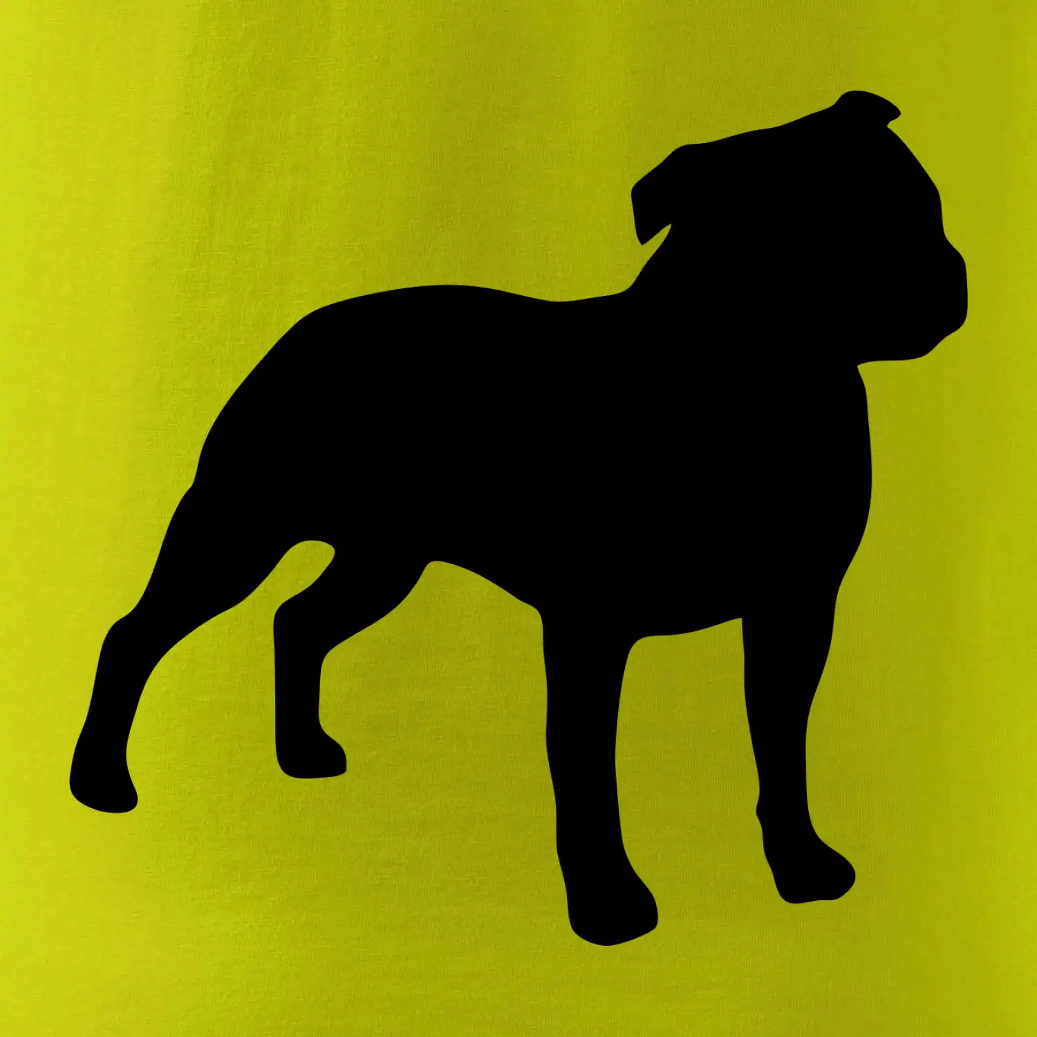 Americký stafordširský teriér  Na prsu