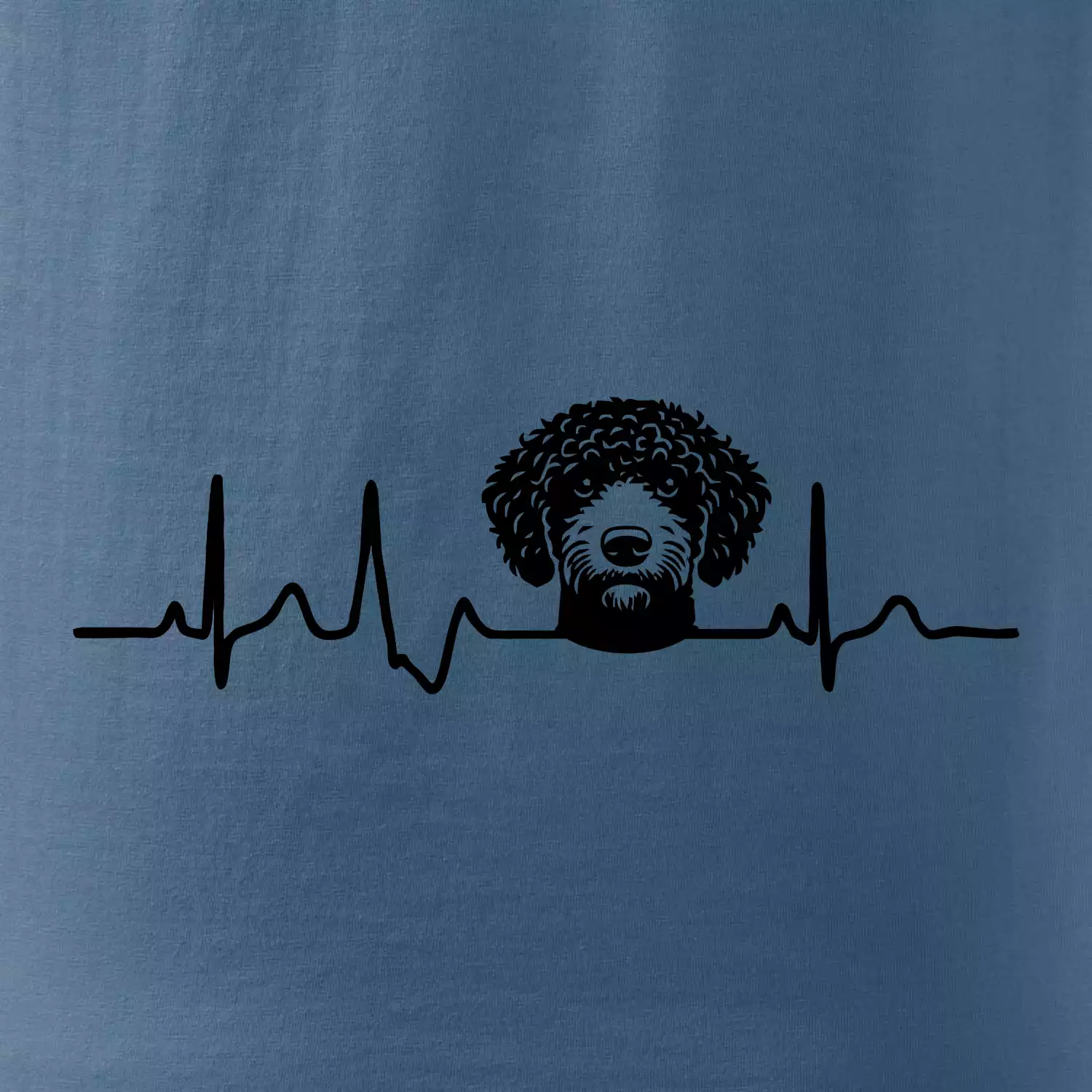 Lagotto romagnolo hlava EKG