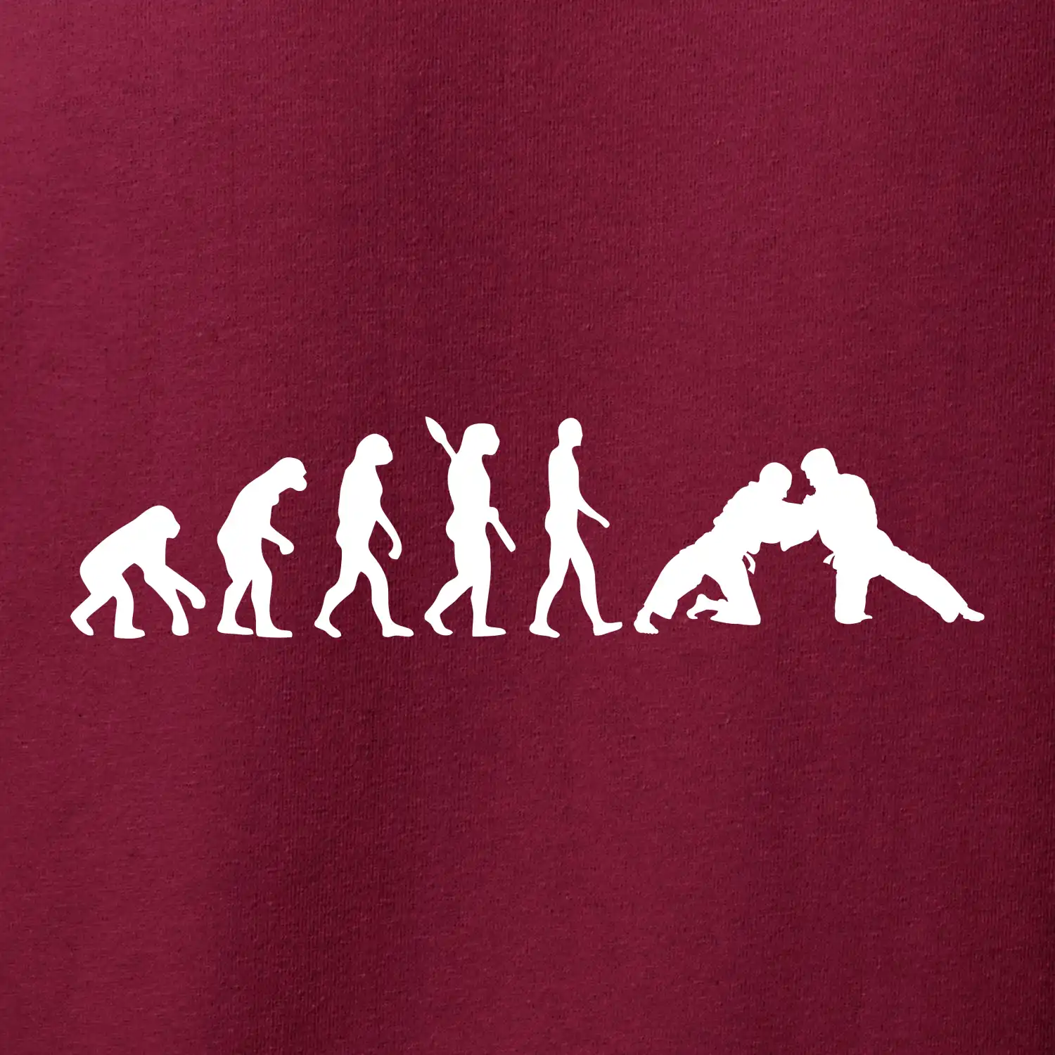 Judo Evoluce
