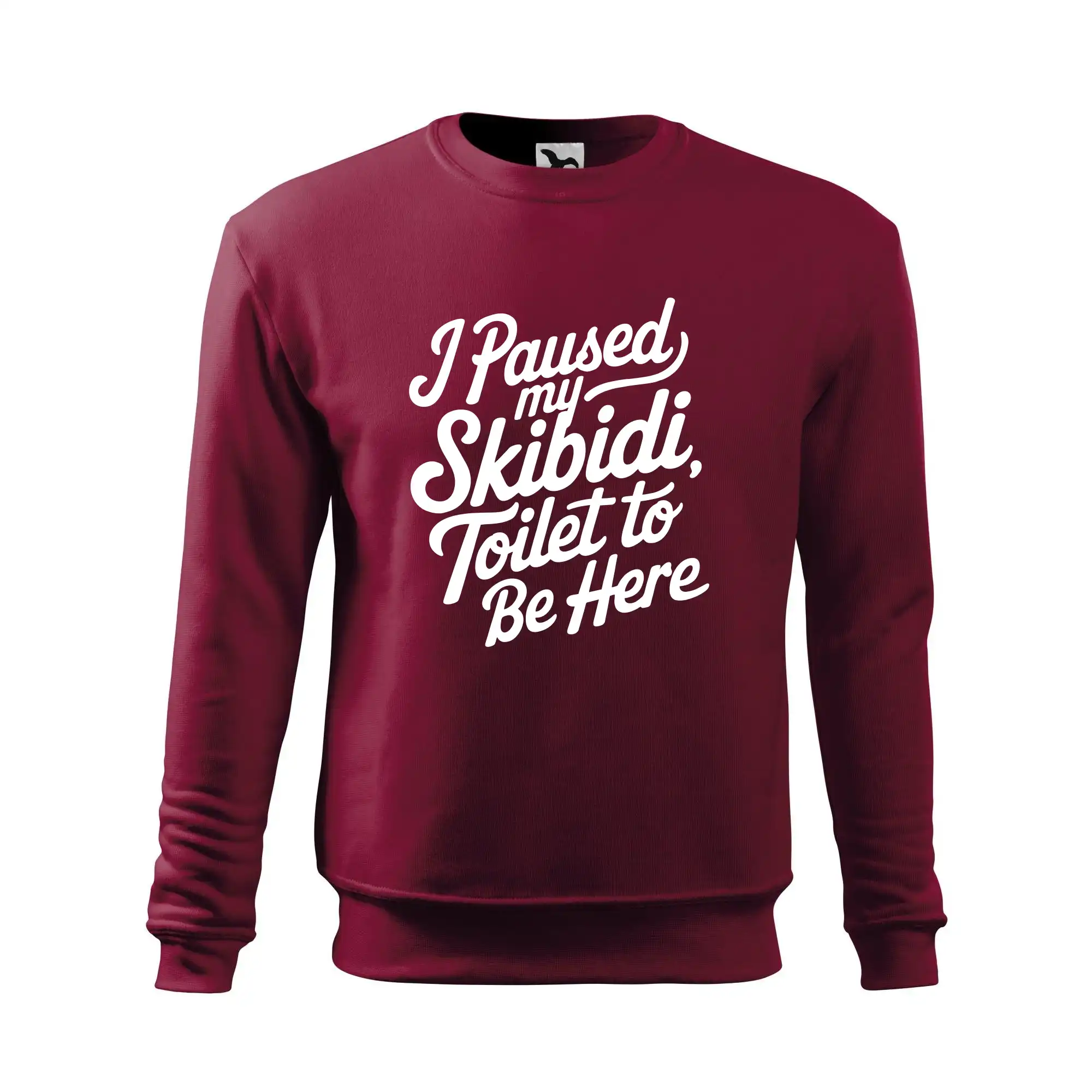 I Paused My Skibidi Toilet to be Here