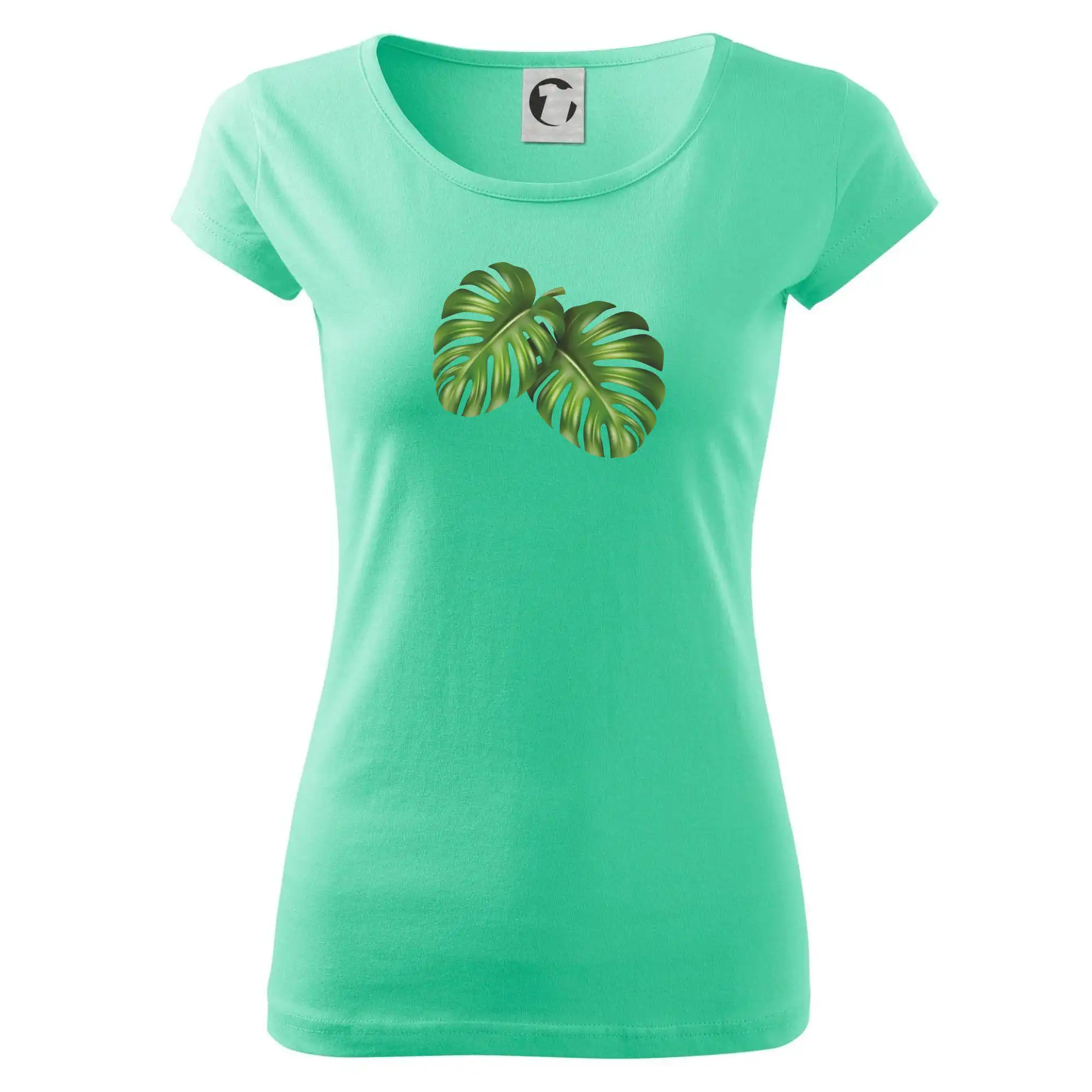 Monstera - dva listy