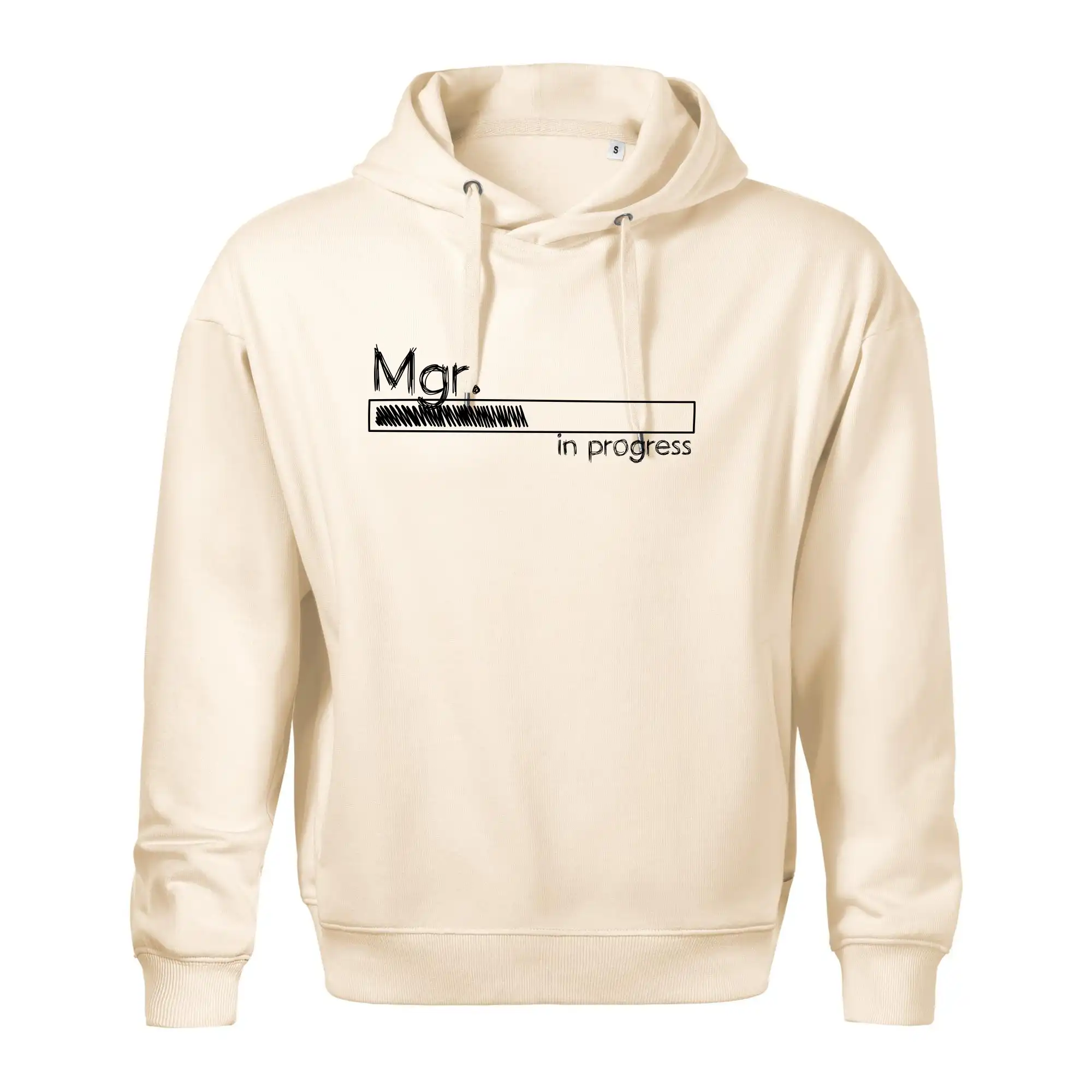 In progress titul Mgr.  magistr / magistra